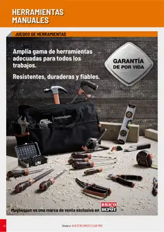 Vista previa Brico Depôt folleto válido desde el 01/04/2025 | Página: 42 | Productos: Κάππαρη
