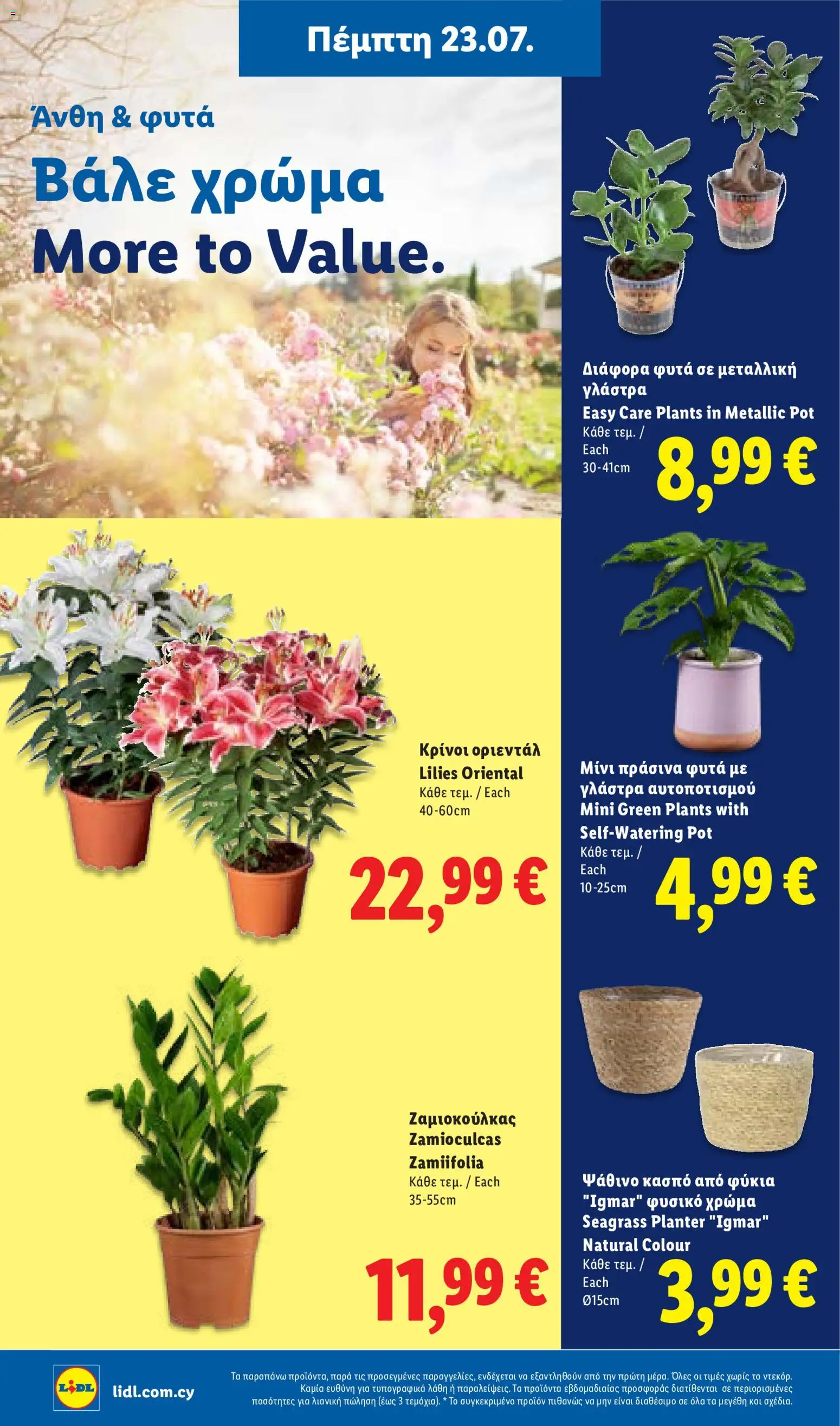 Lidl φυλλαδιο – σε ισχύ από 23/07/2026 | Σελίδα: 46