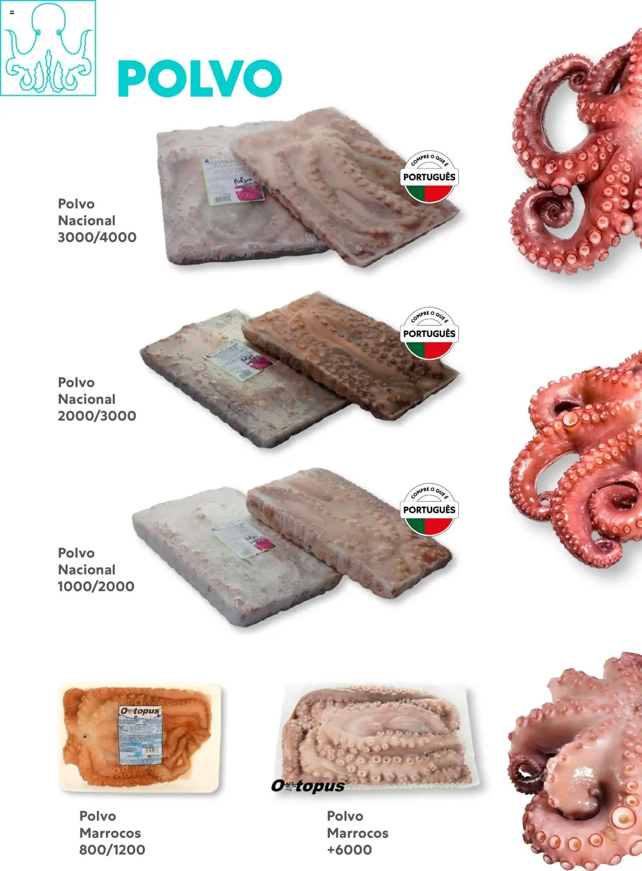 Recheio - Congelados do Mar e da Terra │ válido de 14/07/2025 | Página: 21 | Produtos: Polvo