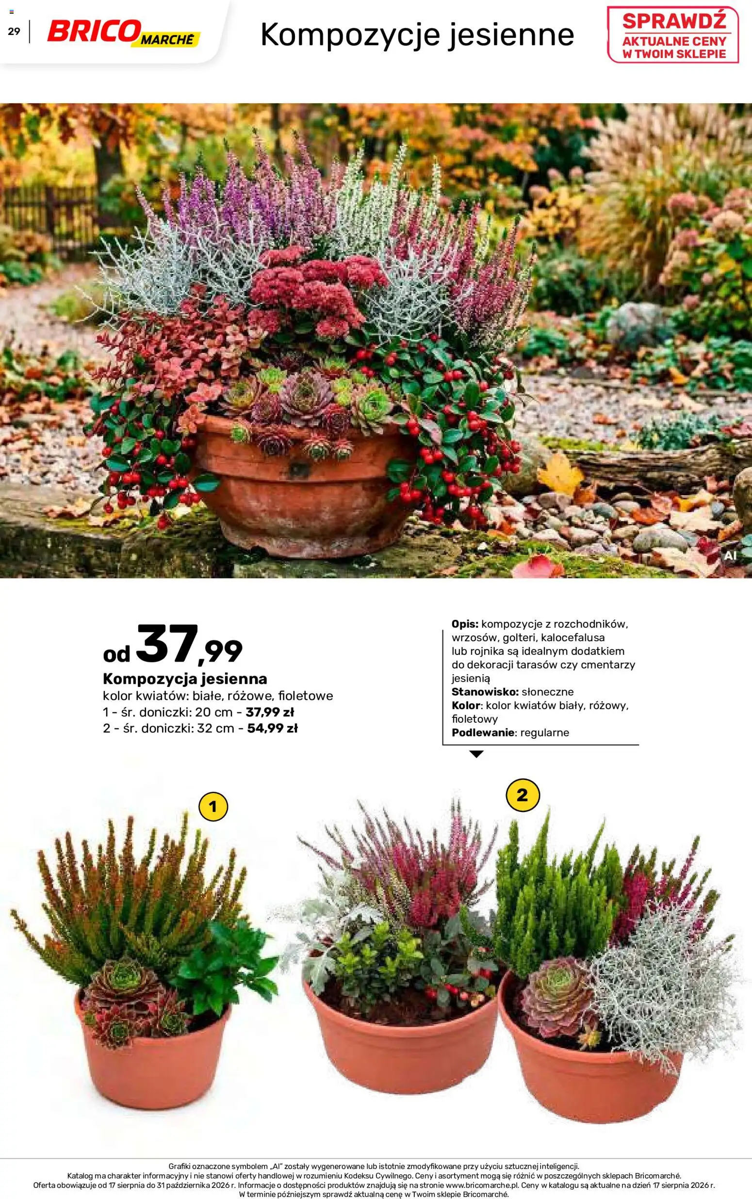 Brico Marché gazetka - Jesienne Inspiracje od 17.08.2026 | Strona: 29 | Produkty: Doniczki