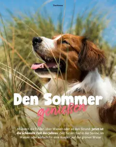 Fressnapf Friends 07,08/26 ab 01.07.2026 gültig | Seite: 11 | Produkte: Wasser, Bad