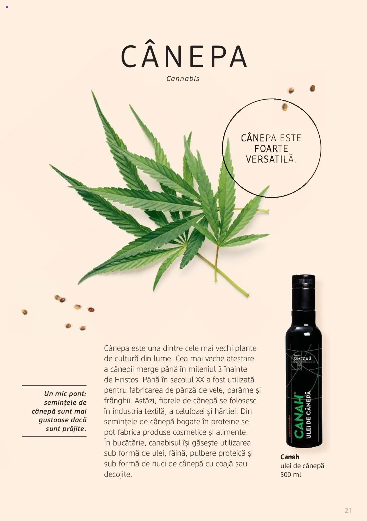 Noul catalog DM drogeriemarkt – valabil de la 01.01.2022 | Pagină: 21
