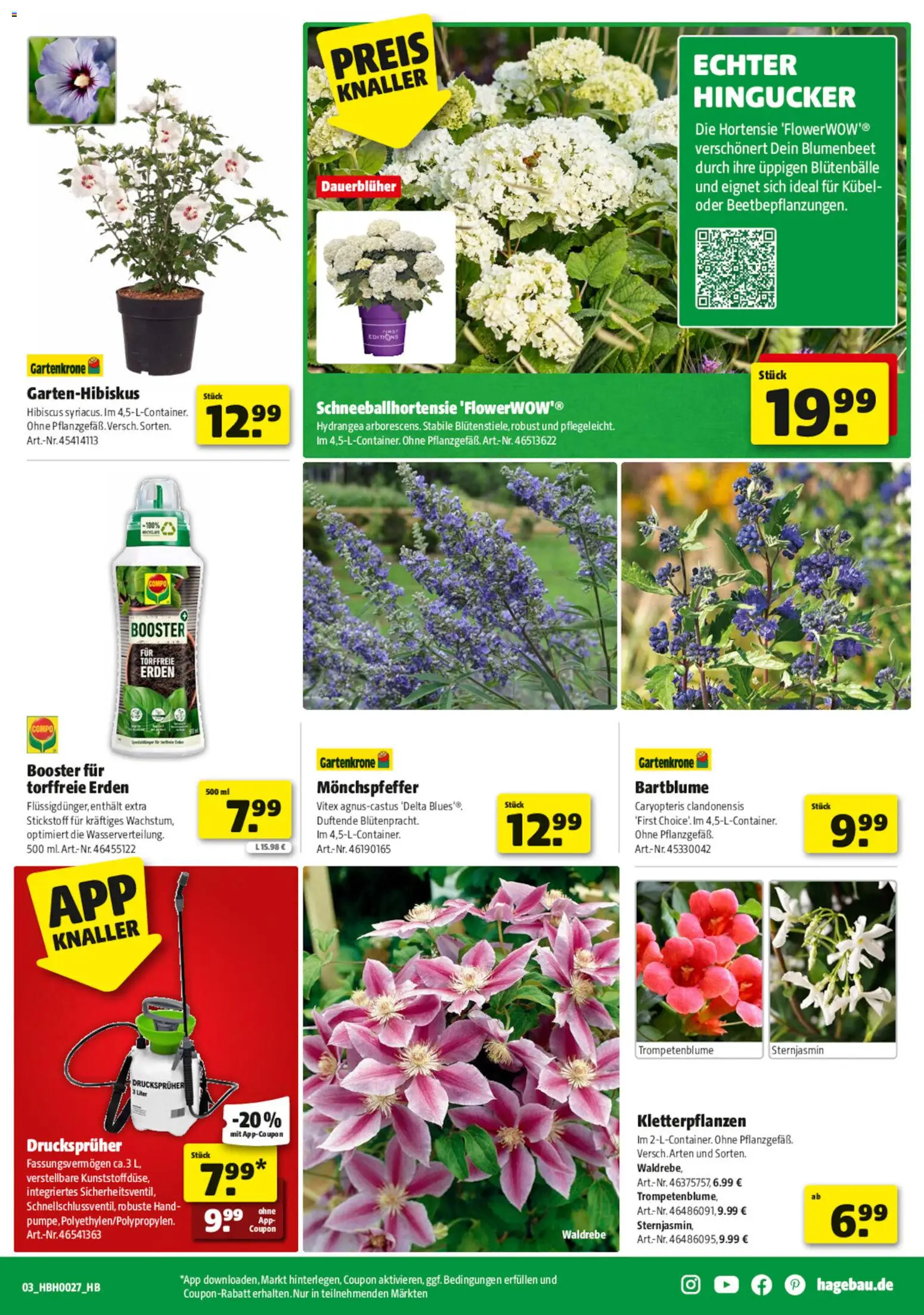 Hagebau Prospekt – gültig ab 27.06.2026 | Seite: 3 | Produkte: Hortensie