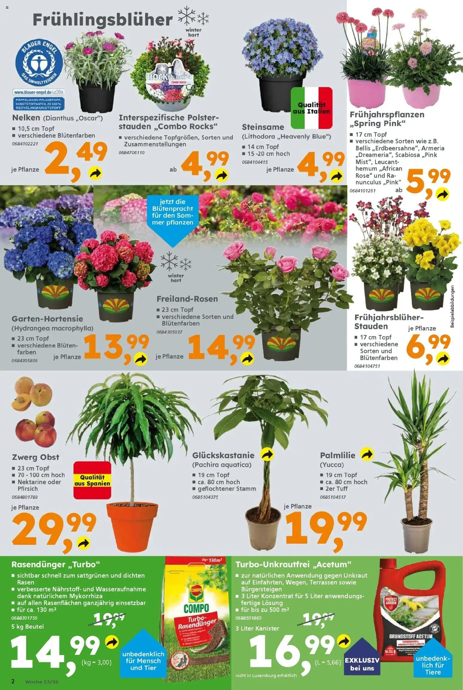 Globus Baumarkt Prospekt Ilmenau	 – gültig ab 23.03.2026 | Seite: 2 | Produkte: Obst, Pfirsich, Nektarine