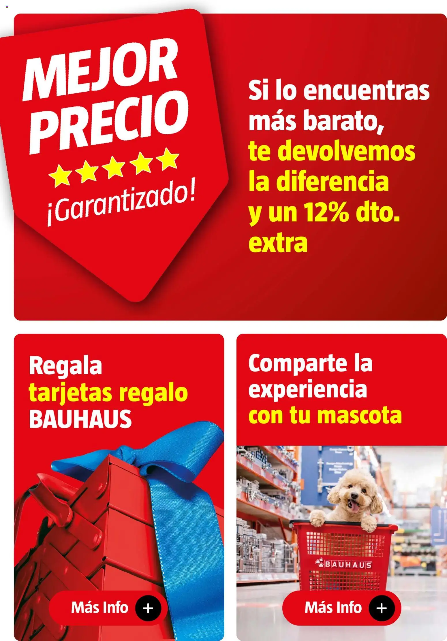 Bauhaus folleto │ válido desde el 27/08/2026 | Página: 2 | Productos: Té