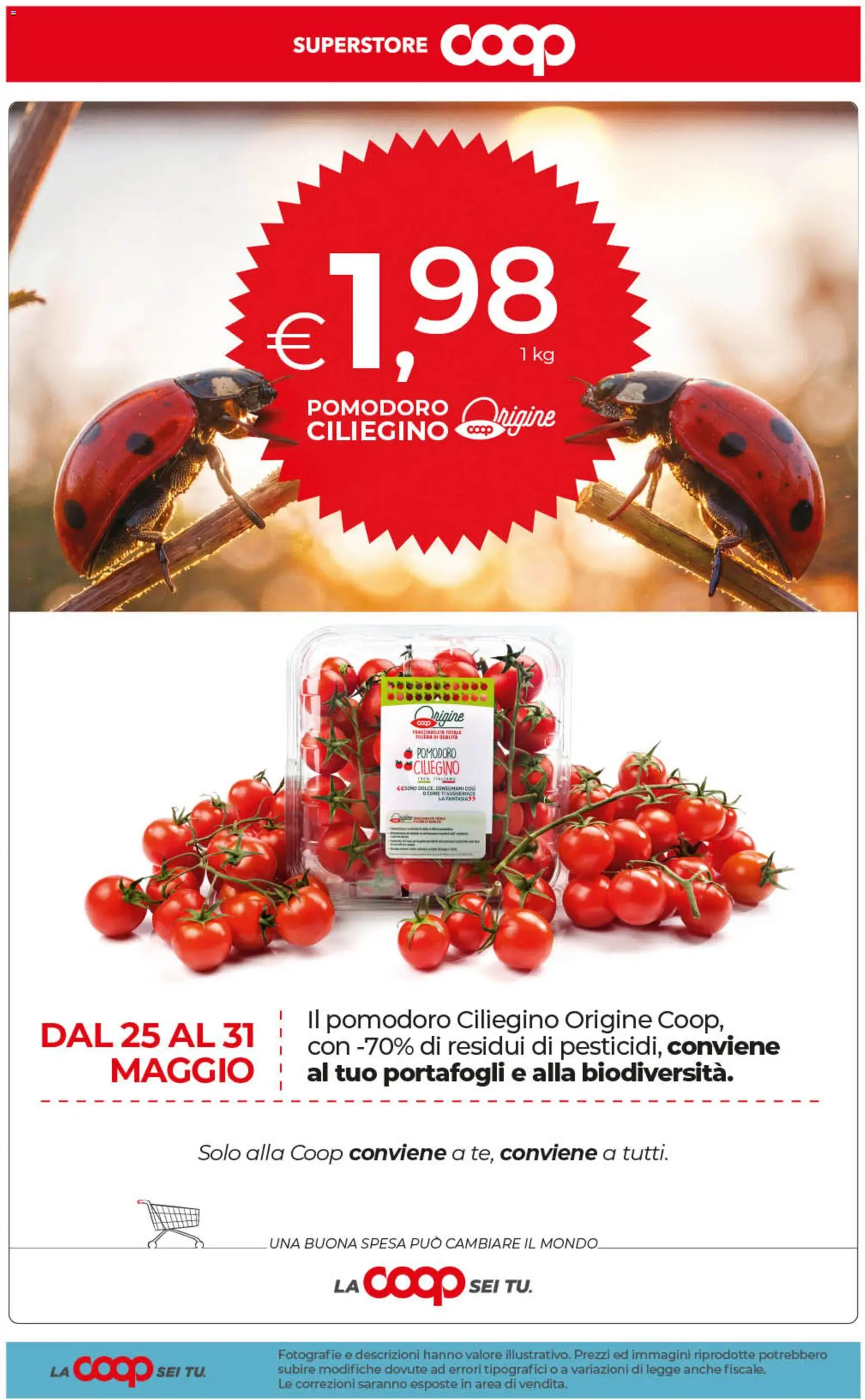 Volantino COOP del 29.05.2026 | Pagina: 53 | Prodotti: Pomodoro