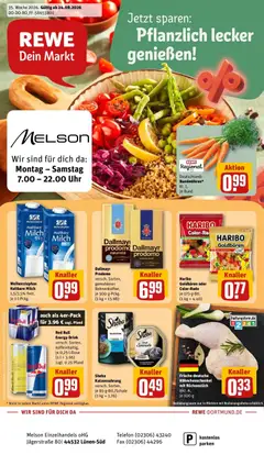 Rewe Prospekt Lünen ab 24.08.2026 gültig