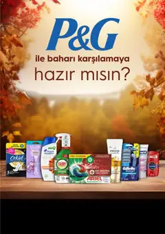 06 Eylül 2026 tarihinden itibaren geçerli olan Gratis kataloğu önizlemesi | Sayfa: 51 | Ürünler: Banyo, Cin