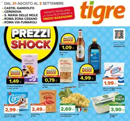 Anteprima del volantino Tigre volantino Roma valido a partire dal 21/08/2026