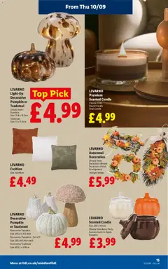 Preview of Weekly offers Lidl valid from 10/09/2026 | Page: 17 | Products: Pumpkin, Apple
