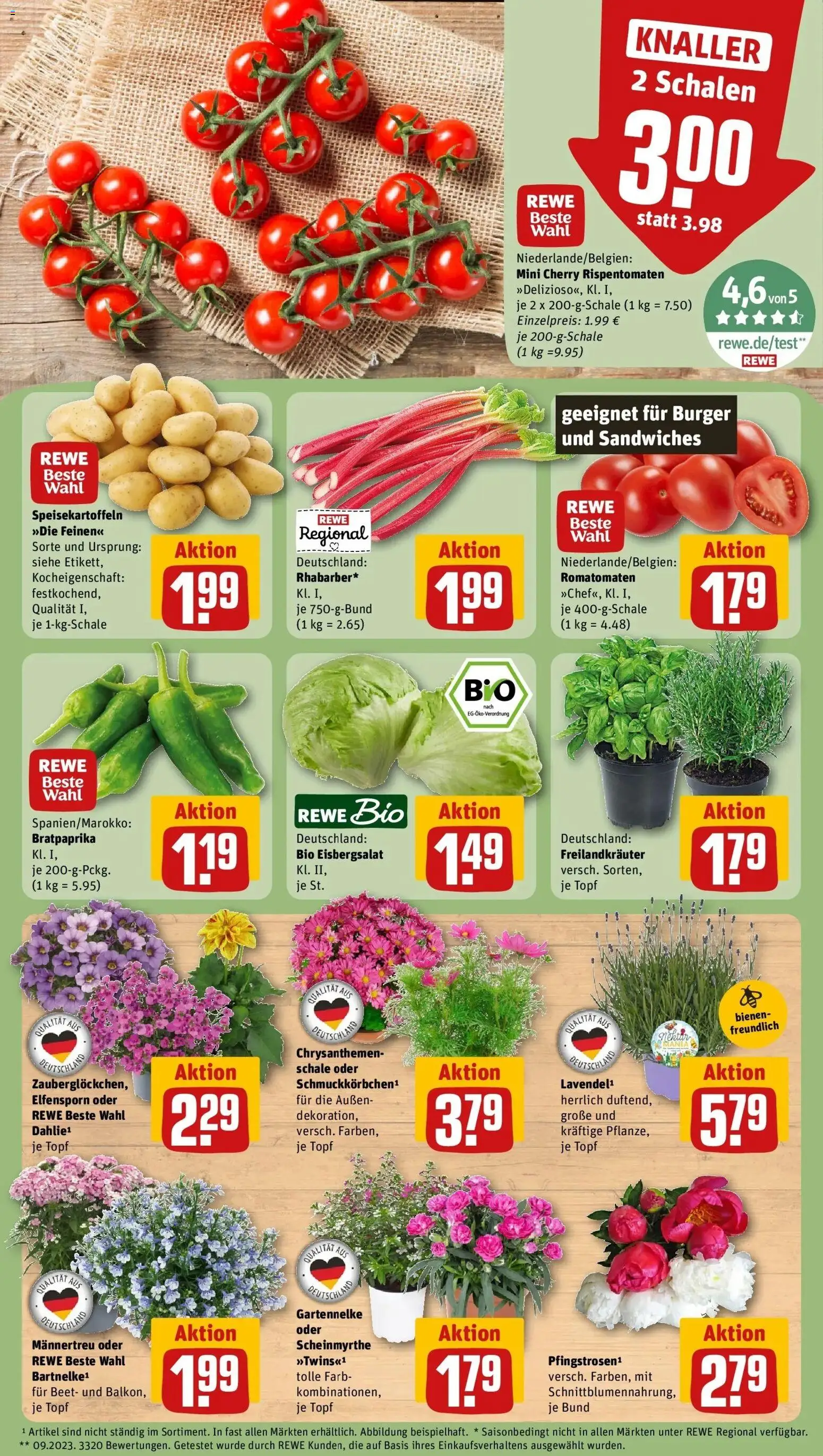 Rewe Prospekt Berlin / Friedrichshain – gültig ab 01.06.2026 | Seite: 5 | Produkte: Burger, Eisbergsalat