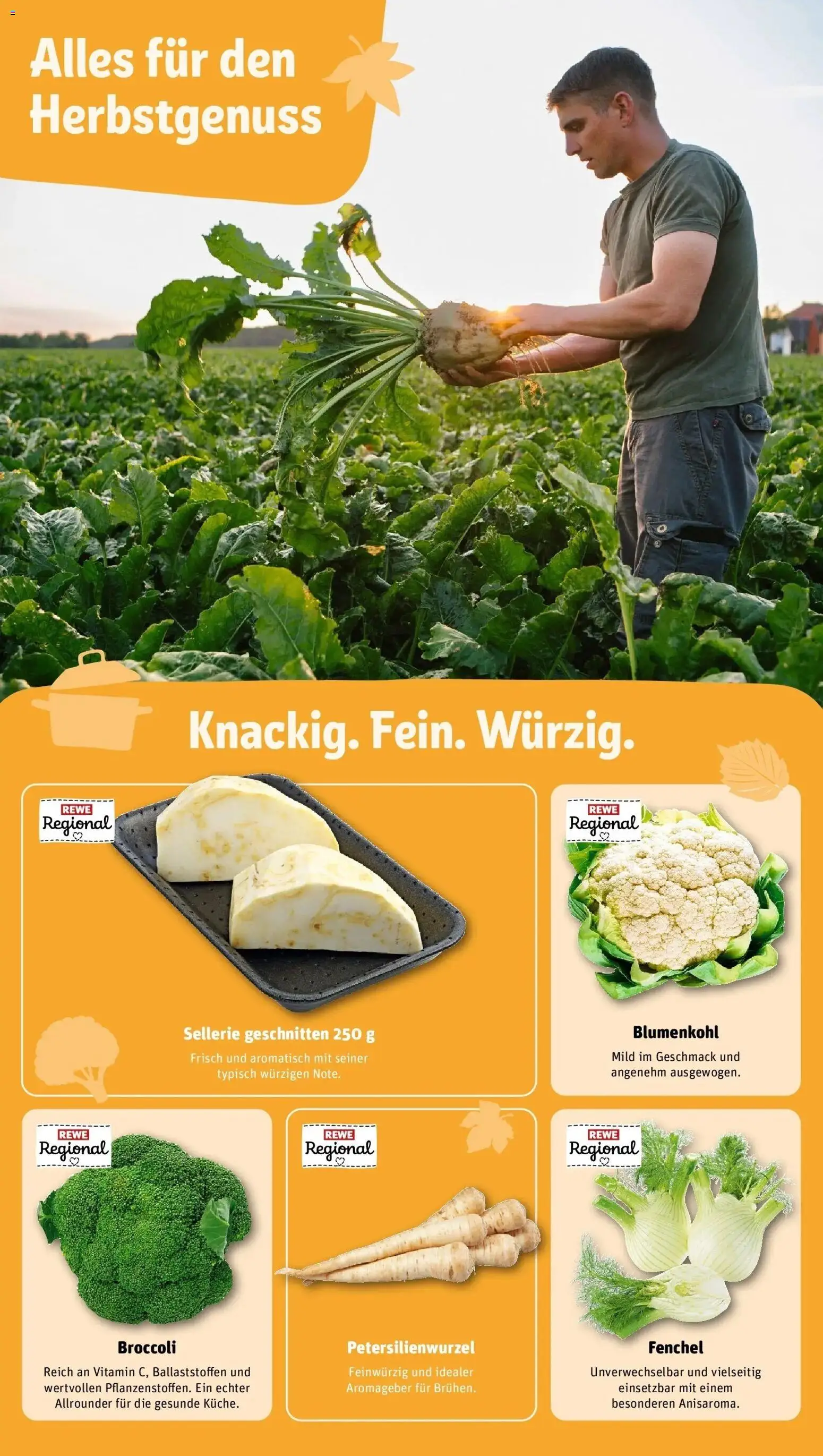 REWE Prospekt ab 28.09.2026 zum Blättern » Angebote | Seite: 32 | Produkte: Blumenkohl