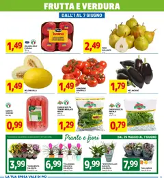 Anteprima del volantino D Più volantino valido a partire dal 25.05.2026 | Pagina: 3 | Prodotti: Mele, Rucola, Frutta, Pomodoro