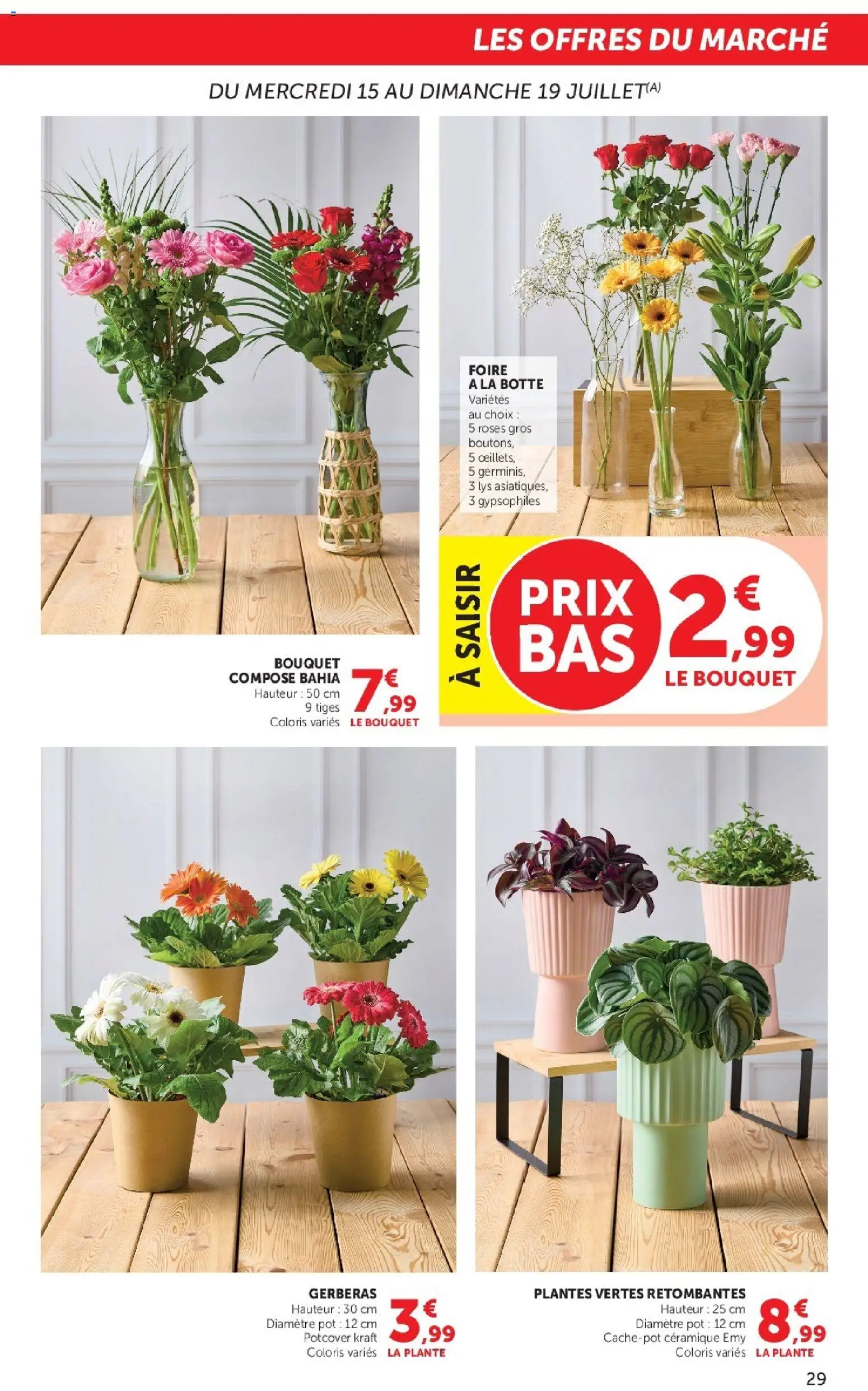 {H1} | Page: 29 | Produits: Plantes