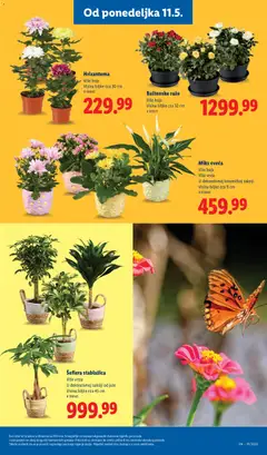 Lidl katalog - pregled Lidl kataloga - važi od 07.05.2026 | Strana: 67