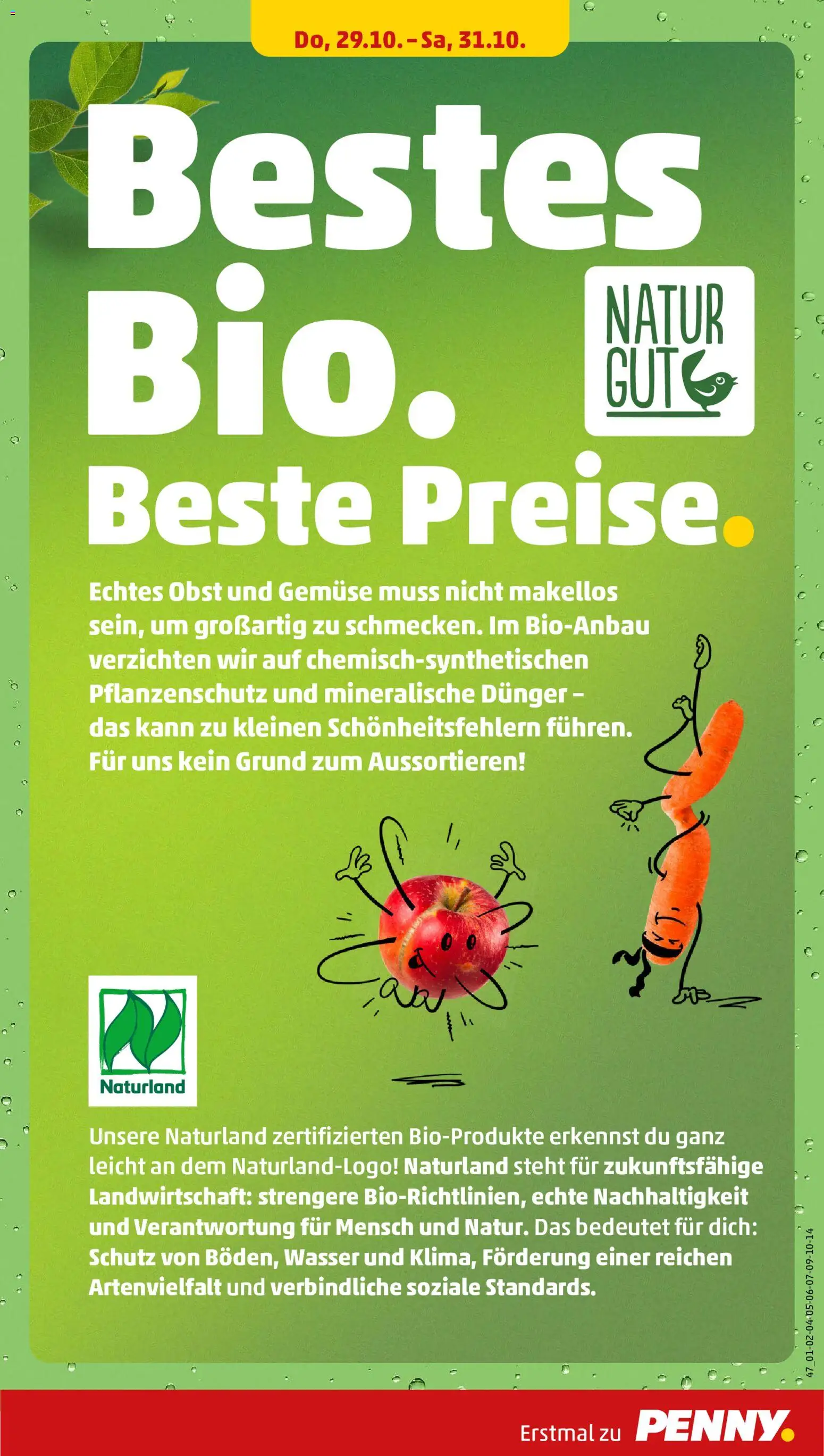 Penny Prospekt – gültig ab 26.10.2026 | Seite: 37