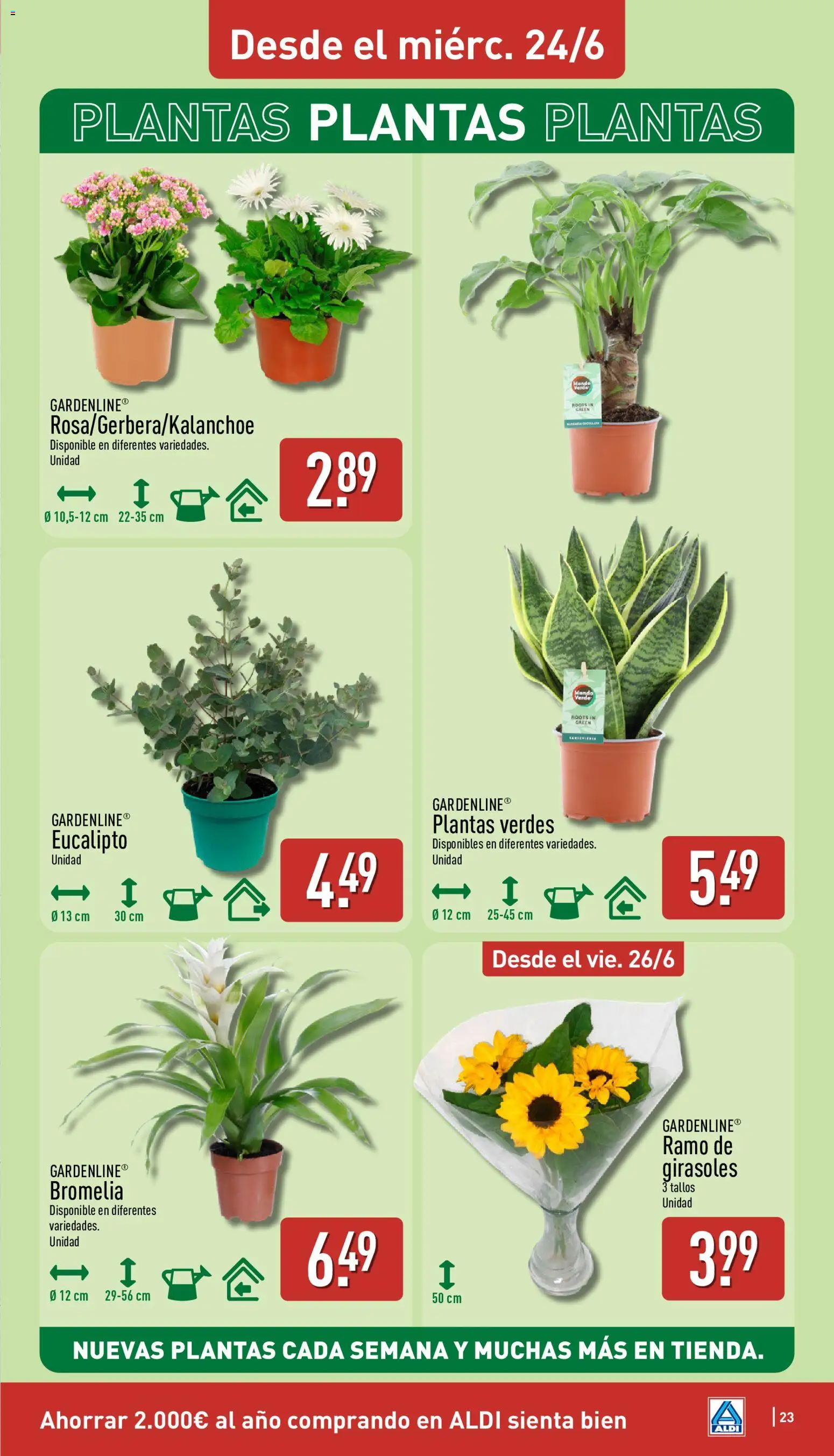 Aldi folleto Baleares │ válido desde el 22.06.2026 | Página: 23