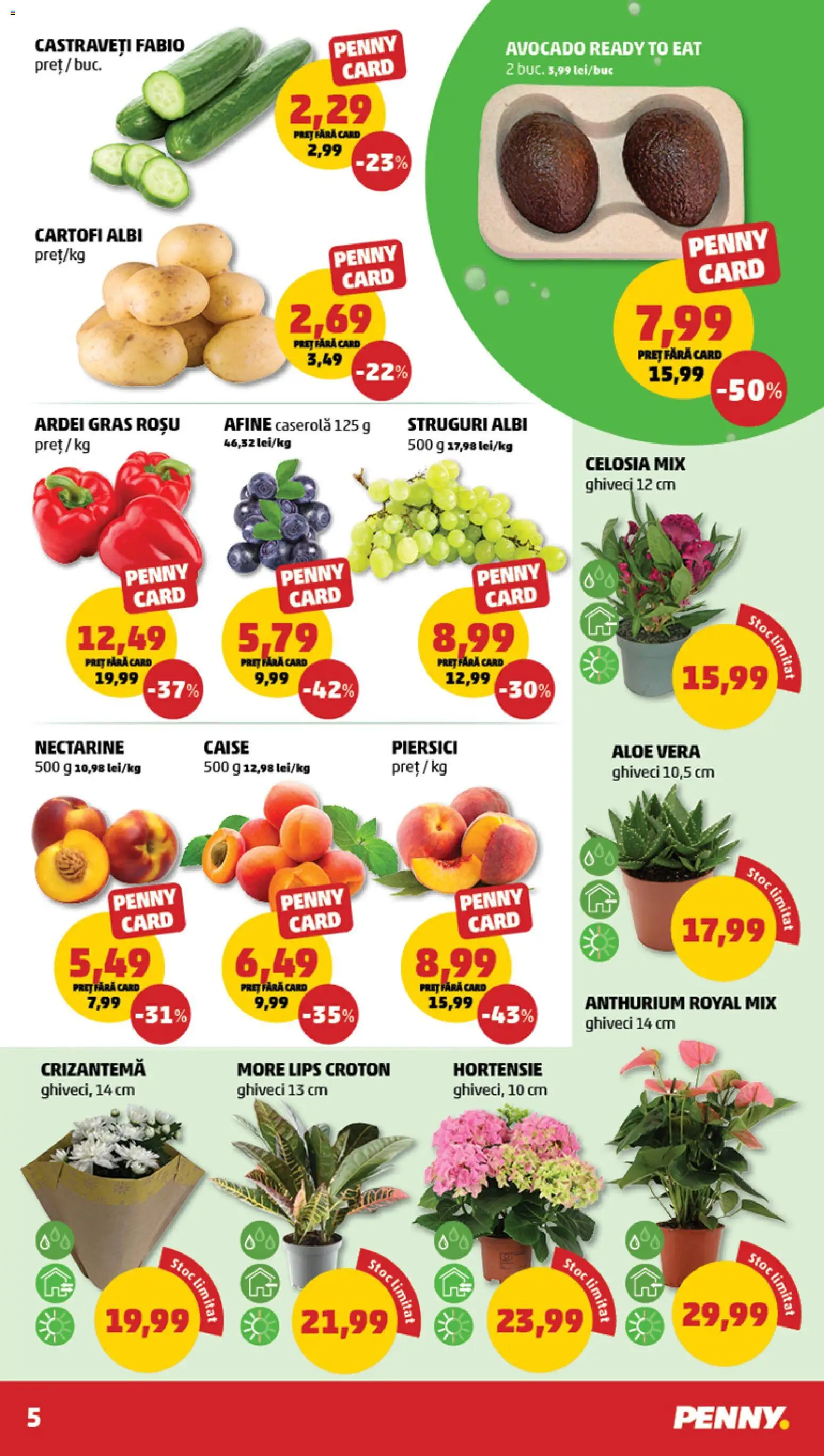 Noul catalog PENNY – valabil de la 03.06.2026 | Pagină: 5 | Produse: Struguri, Avocado, Ahtapot, Cartofi
