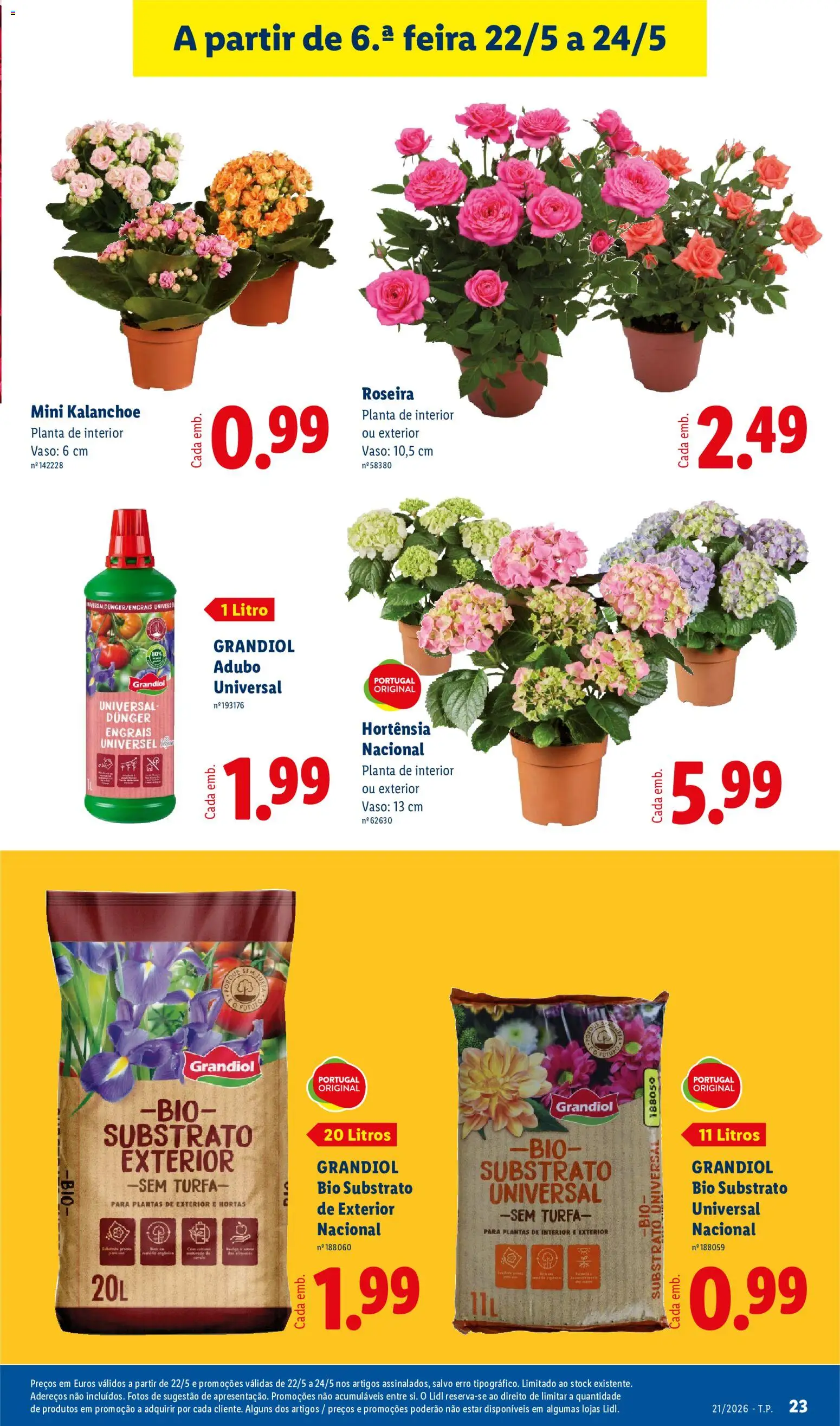 Lidl folheto │ válido de 18.05.2026 | Página: 23 | Produtos: Vaso