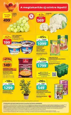 Auchan akciós újság Szolnok - amely érvényes a következő dátumtól: 2026.09.17. | Oldal: 52 | Termékek: Vifon, Dreher, Lé, Leves