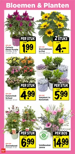 Vomar folder - Voorbeeld van een folder van Vomar, geldig van 26-07-2026 | Pagina: 28