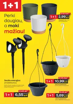 Jupoja leidinys galioja nuo 21.05.2026 | Puslapis: 15 | Prekių: Vazonas