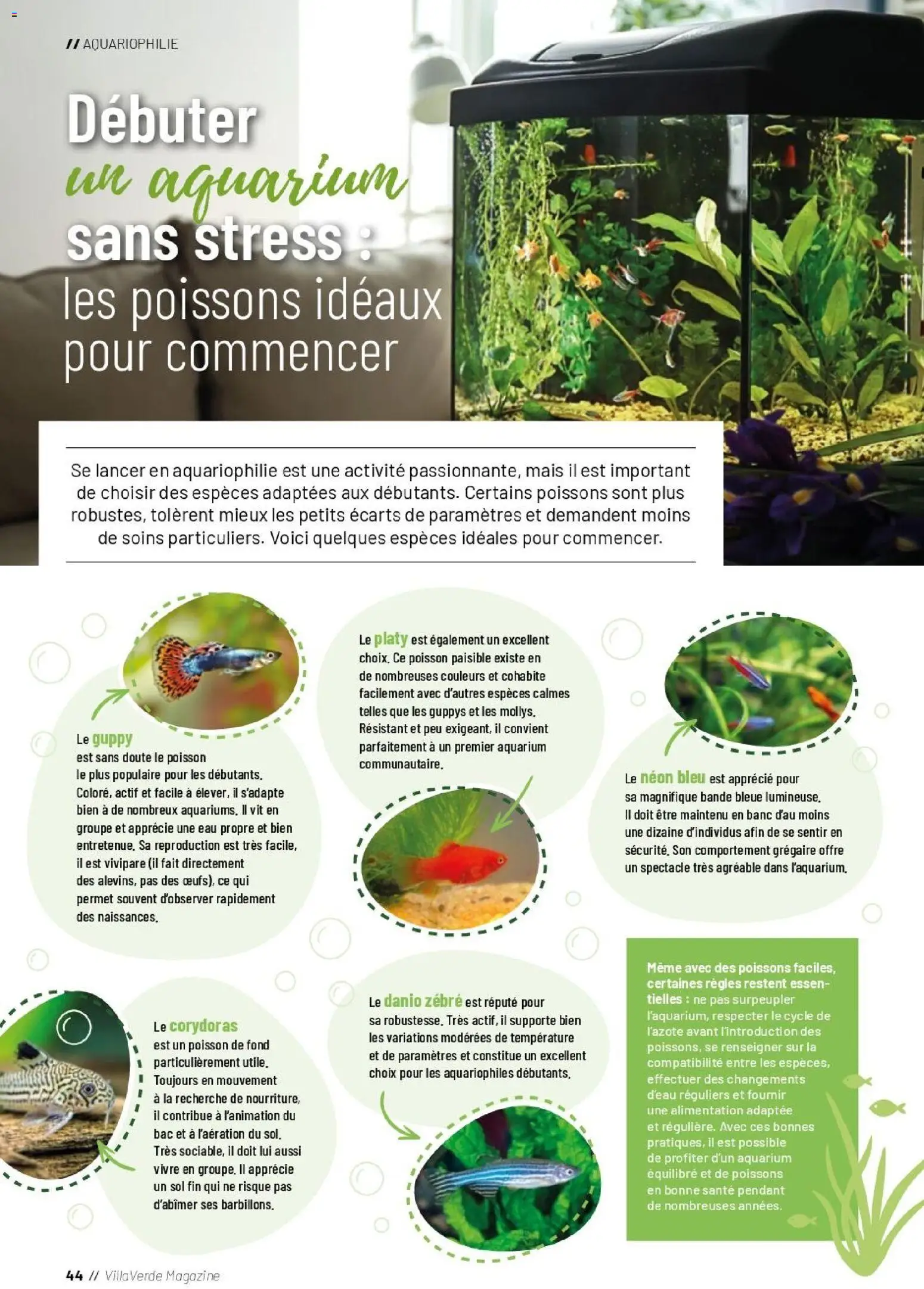 {H1} | Page: 44 | Produits: Banc, Mais, Aquarium, Poissons