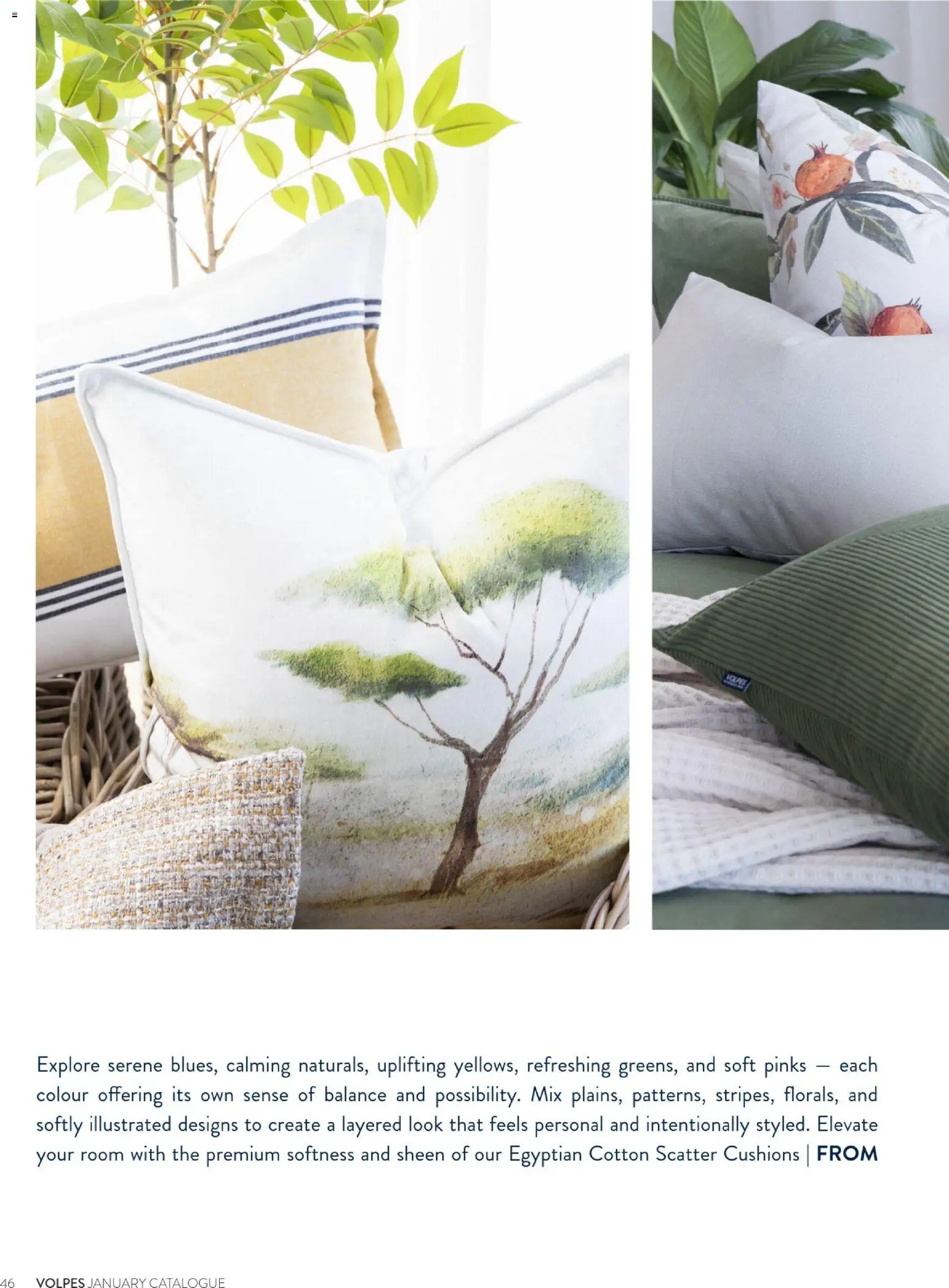 New Volpes catalogue – valid from 01/01/2026 | Page: 92