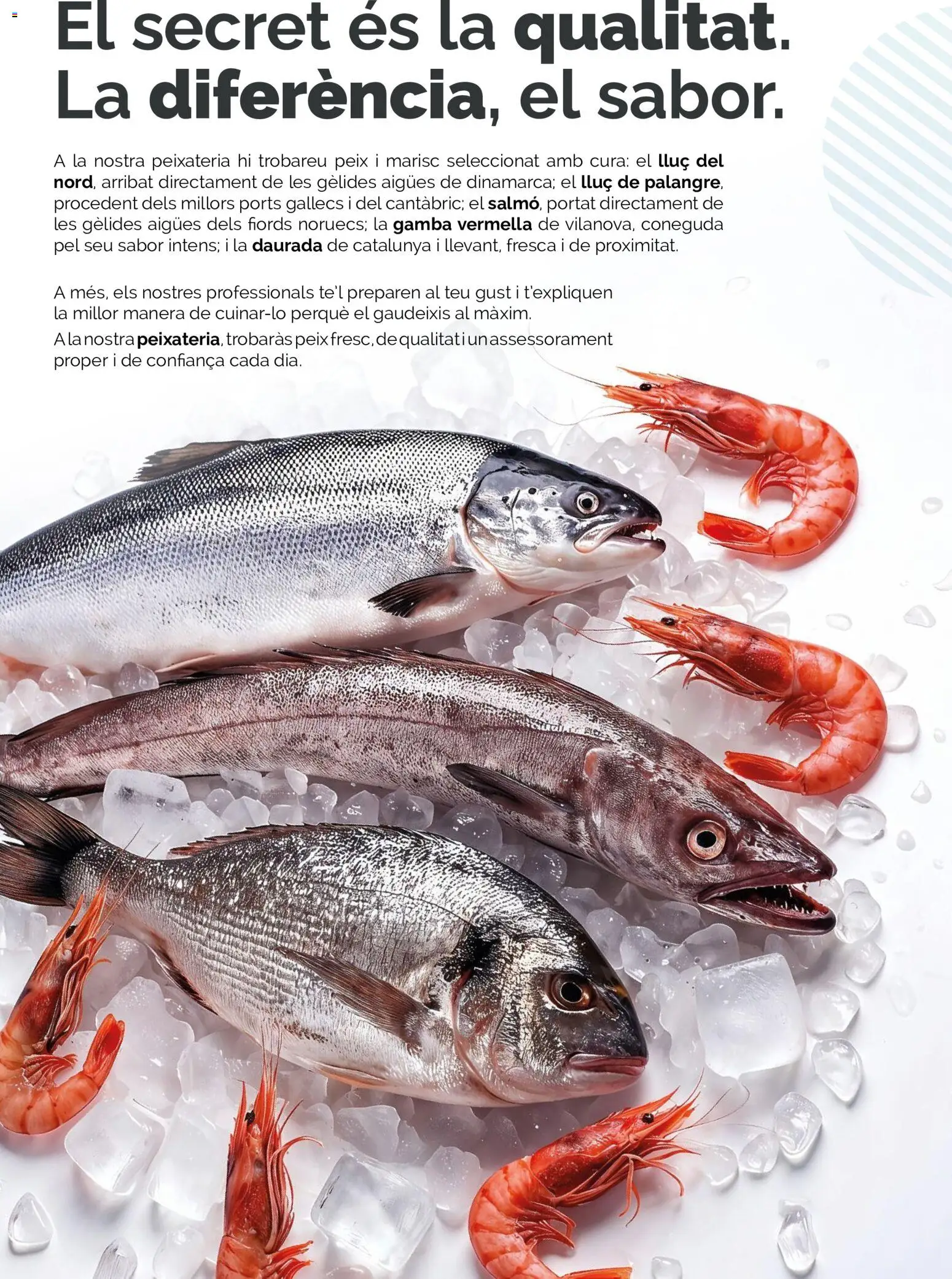 Condis folleto life │ válido desde el 19/08/2026 | Página: 2 | Productos: Gamba