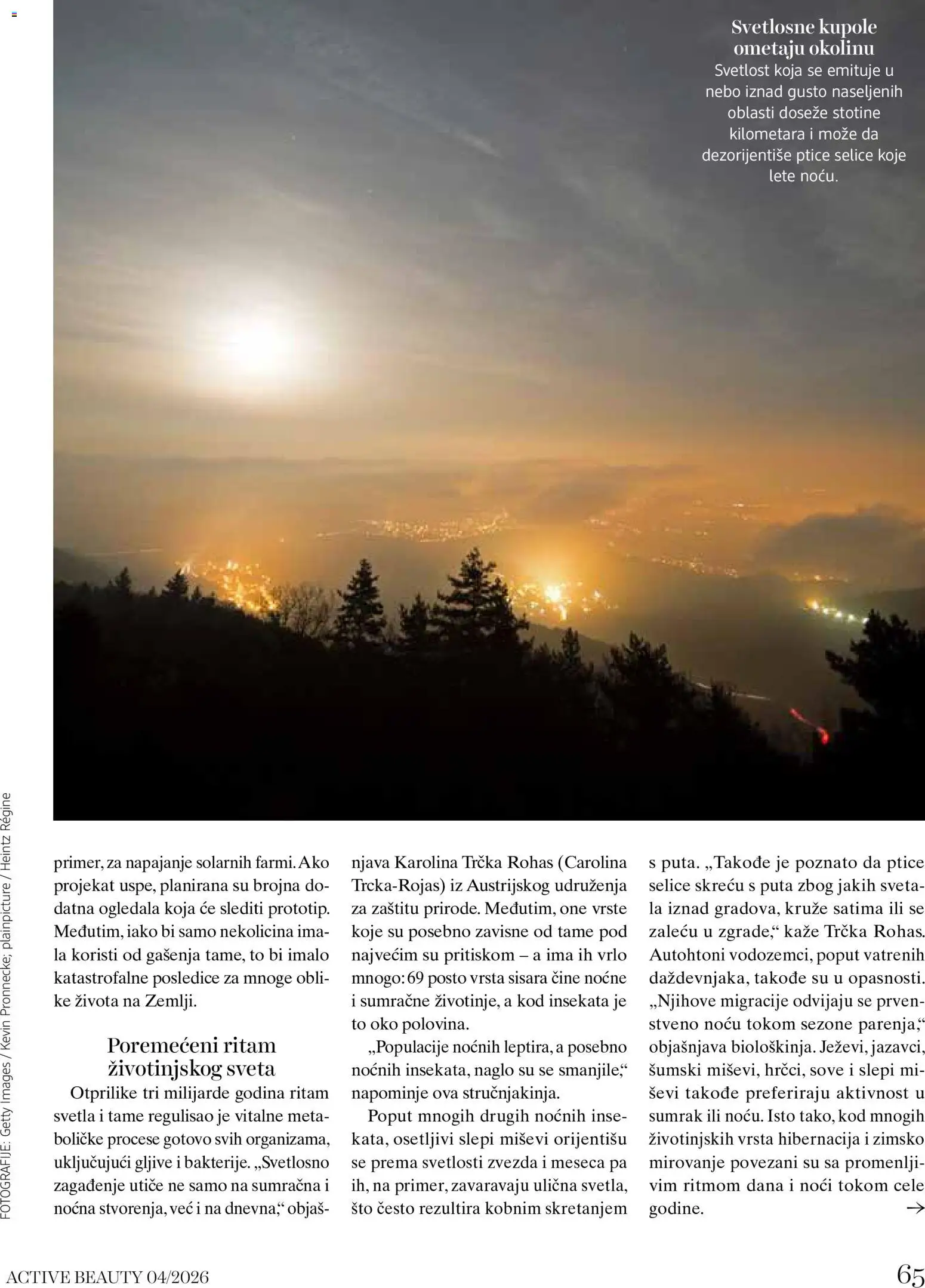DM Drogerie katalog - važi od 15.10.2026 | Strana: 65 | Proizvode: Sto