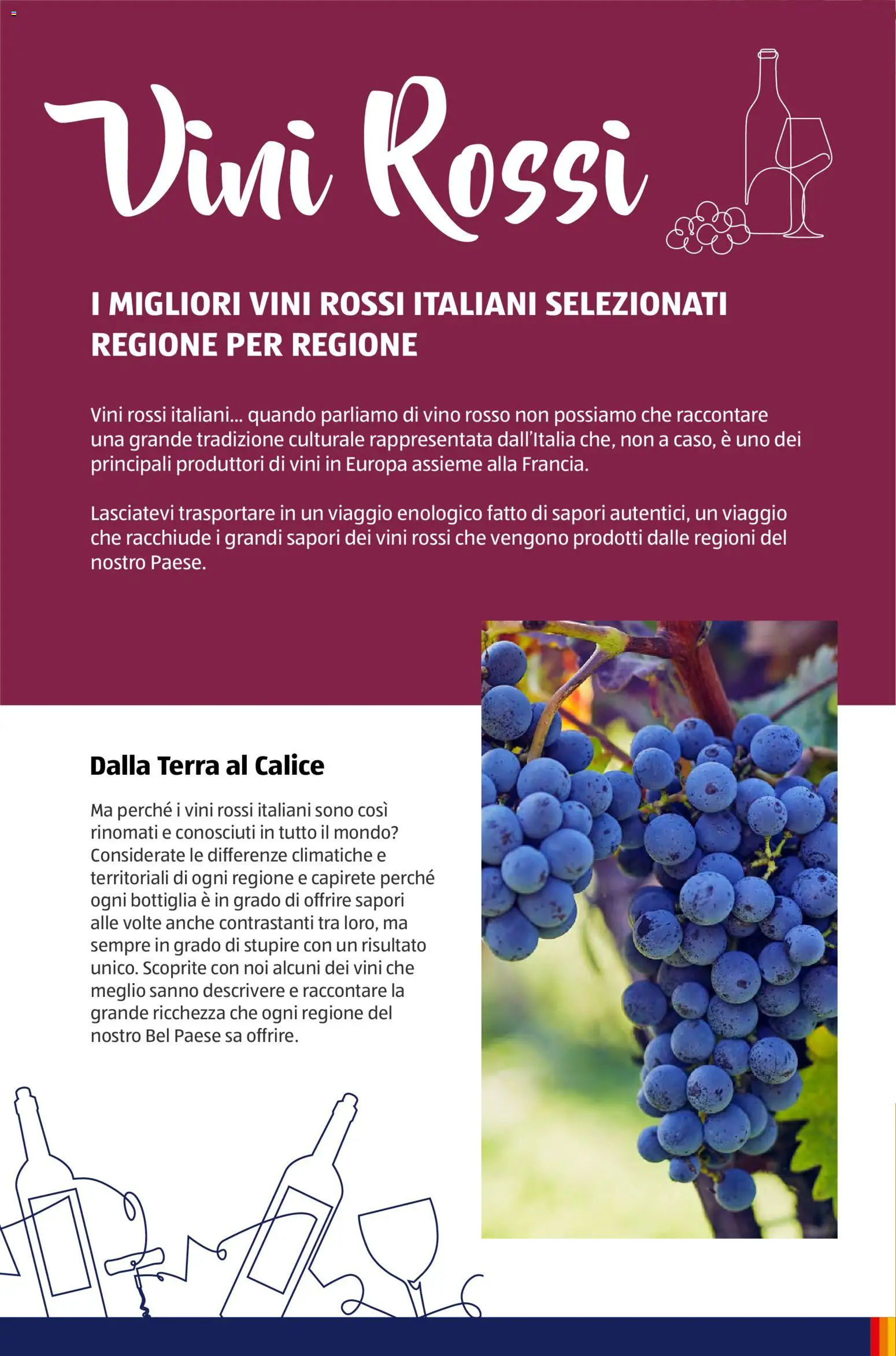 Volantino Aldi del 12/01/2026 | Pagina: 8 | Prodotti: Calice, Bottiglia, Vino rosso, Terra