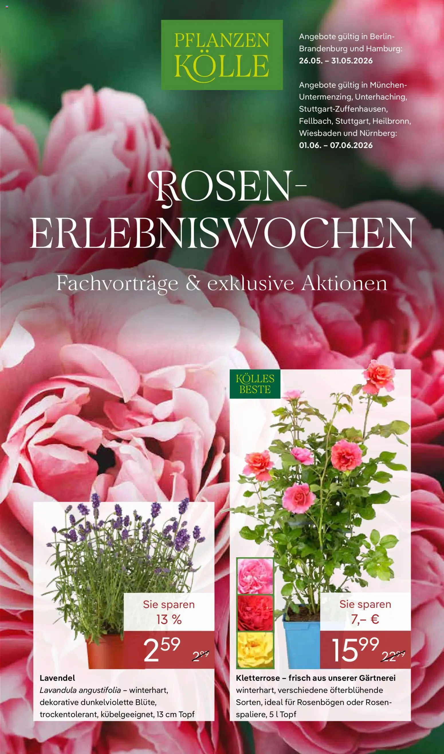 Pflanzen-Kölle Prospekt – gültig ab 26.05.2026 | Seite: 1 | Produkte: Lavendel