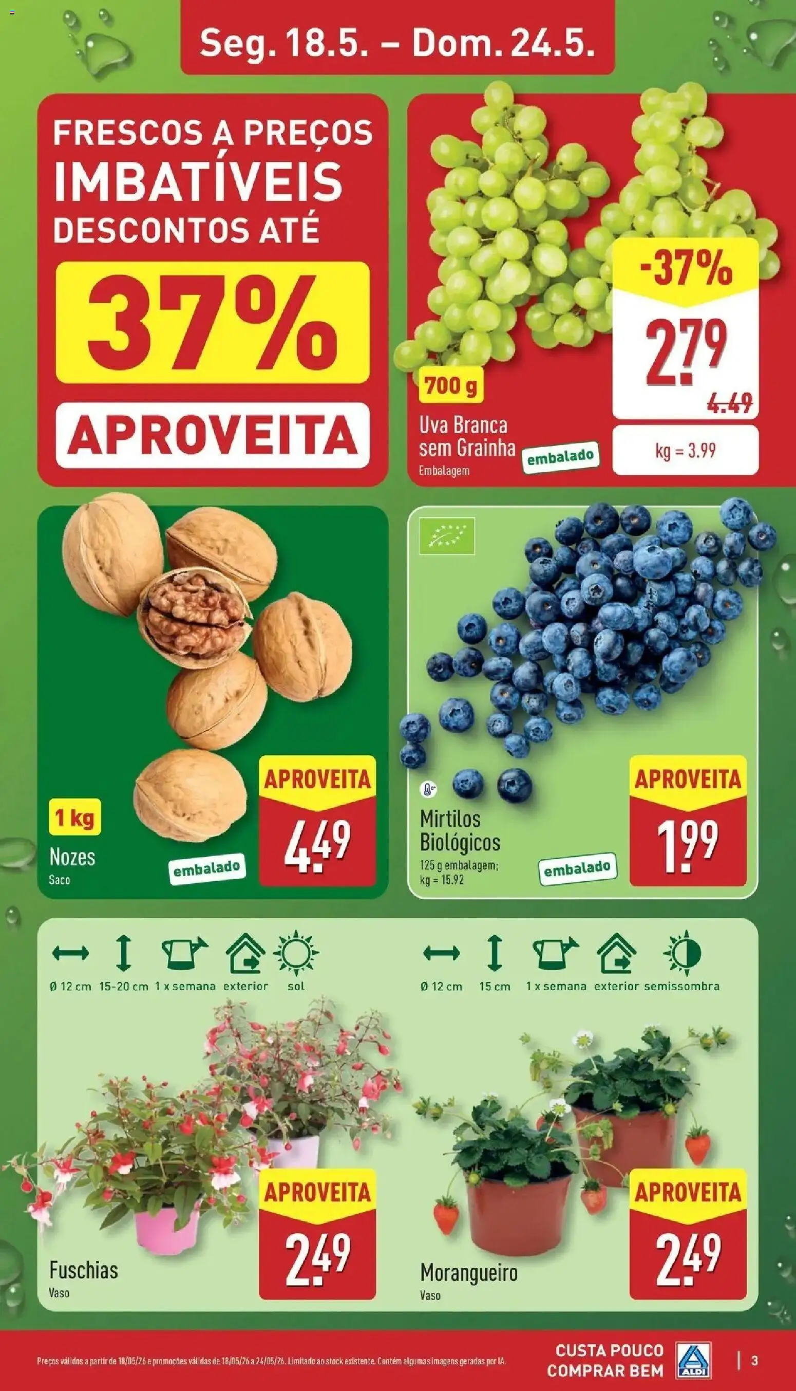 Aldi Folheto Santarém │ válido de 18.05.2026 | Página: 3 | Produtos: Vaso, Nozes, Mirtilos