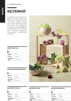 Transgourmet Cook Look-Book ab 08.04.2026 gültig | Seite: 86 | Produkte: Gemüse, Blumenkohl