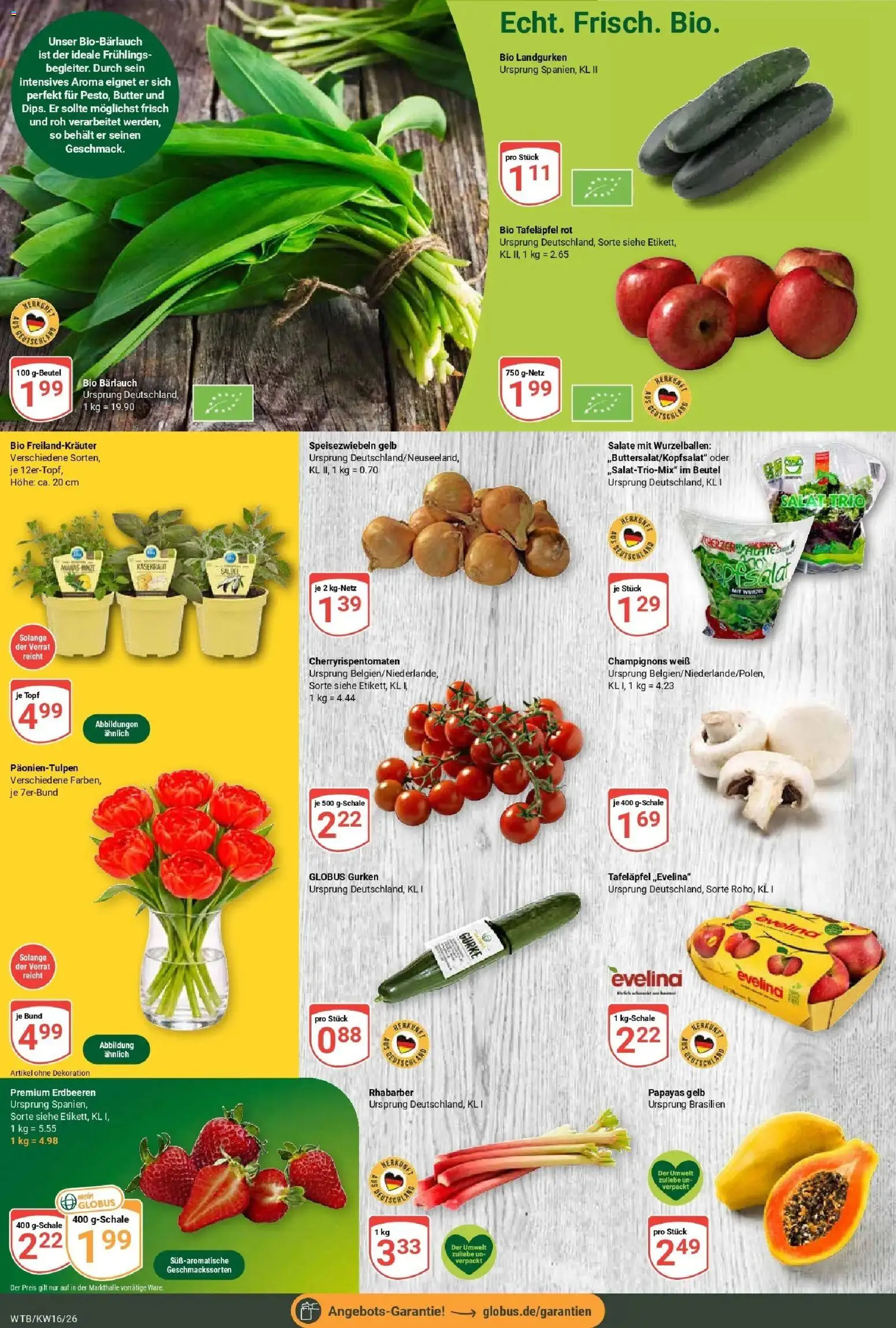 Globus Prospekt Wächtersbach	 – gültig ab 12.04.2026 | Seite: 6 | Produkte: Butter, Rhabarber, Gurken, Salat