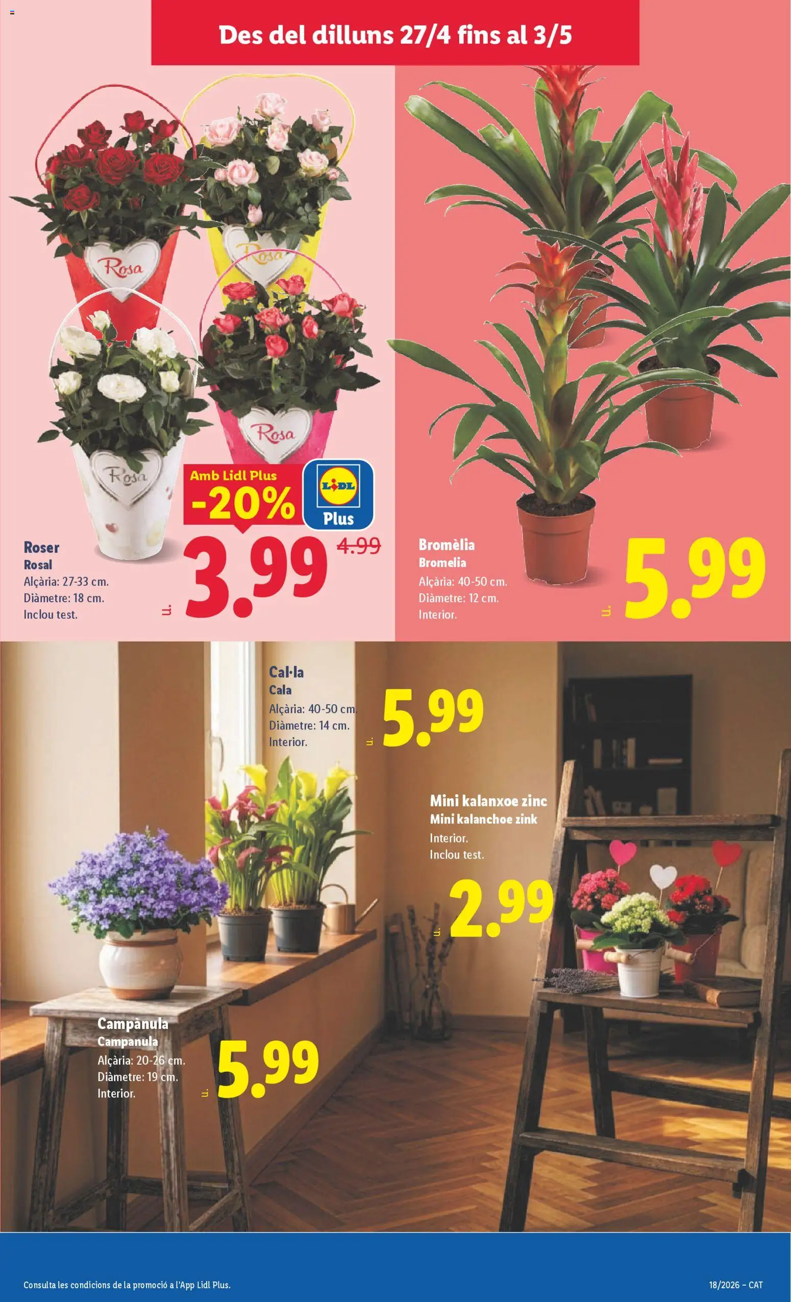 Lidl folleto │ válido desde el 27.04.2026 | Página: 45