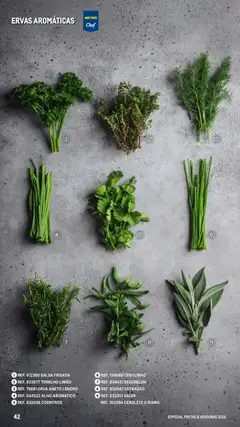 Pré-visualização Makro Especial Frutas e Verduras 2026 válido de 06/03/2026 | Página: 42