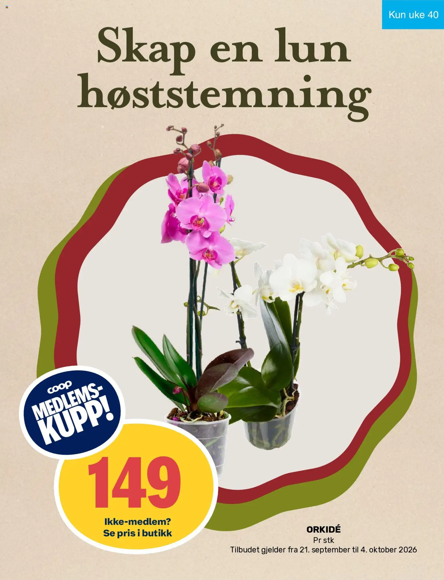 {H1} | Side: 12 | Produkter: Orkidé, Skap