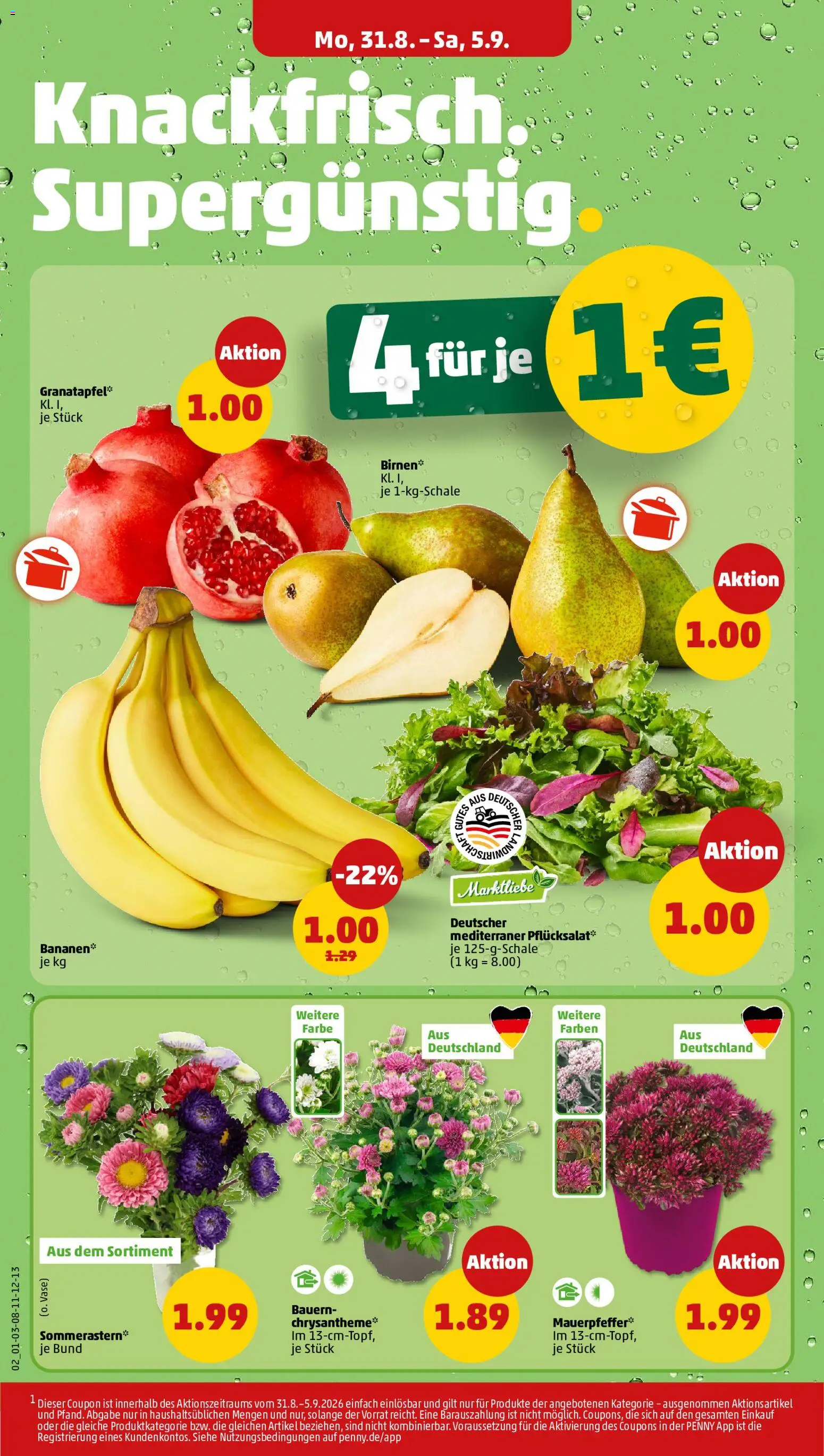 Penny Prospekt – gültig ab 31.08.2026 | Seite: 4