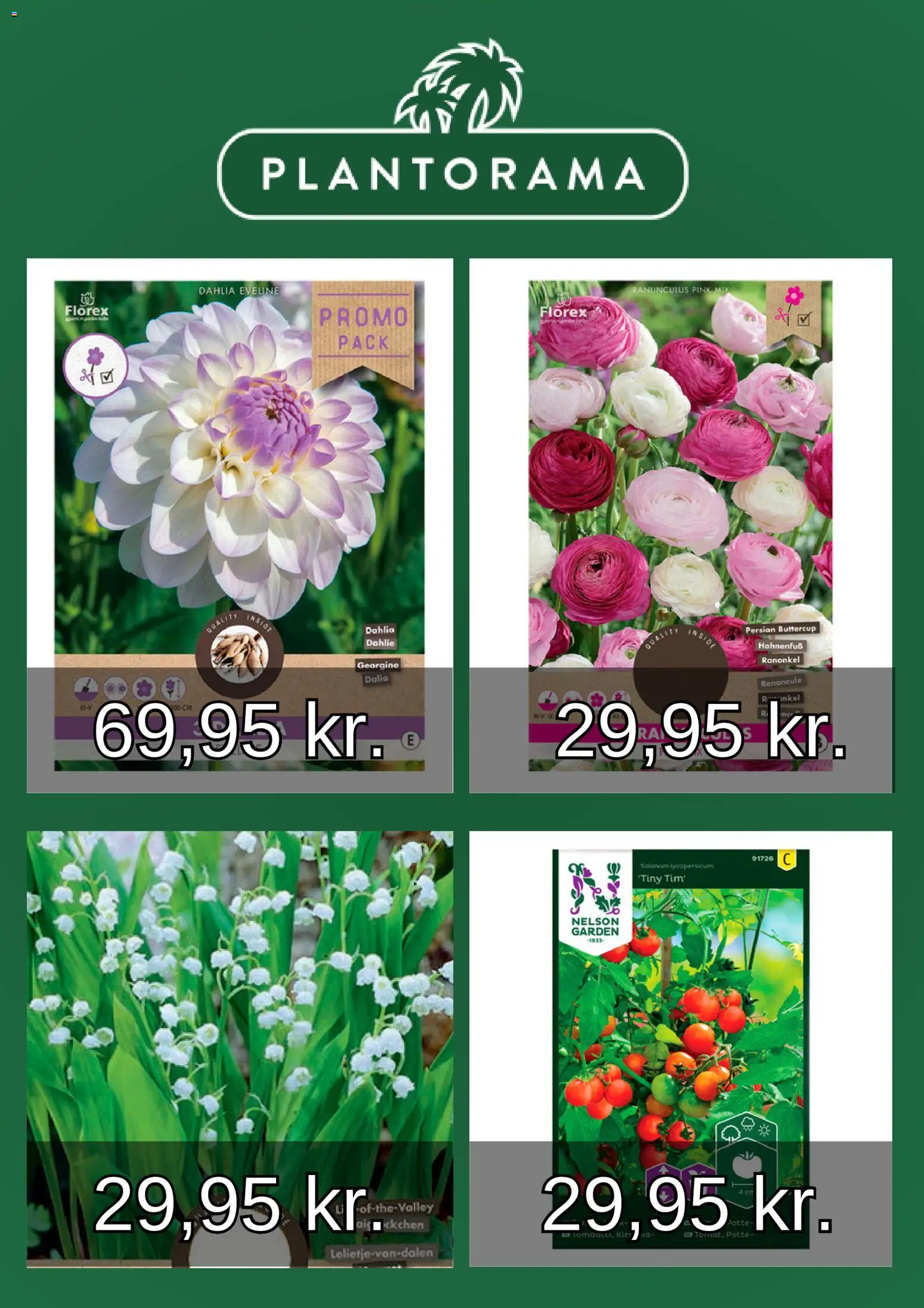 Plantorama tilbudsavis – gyldig fra 01/03/2026 | Side: 3