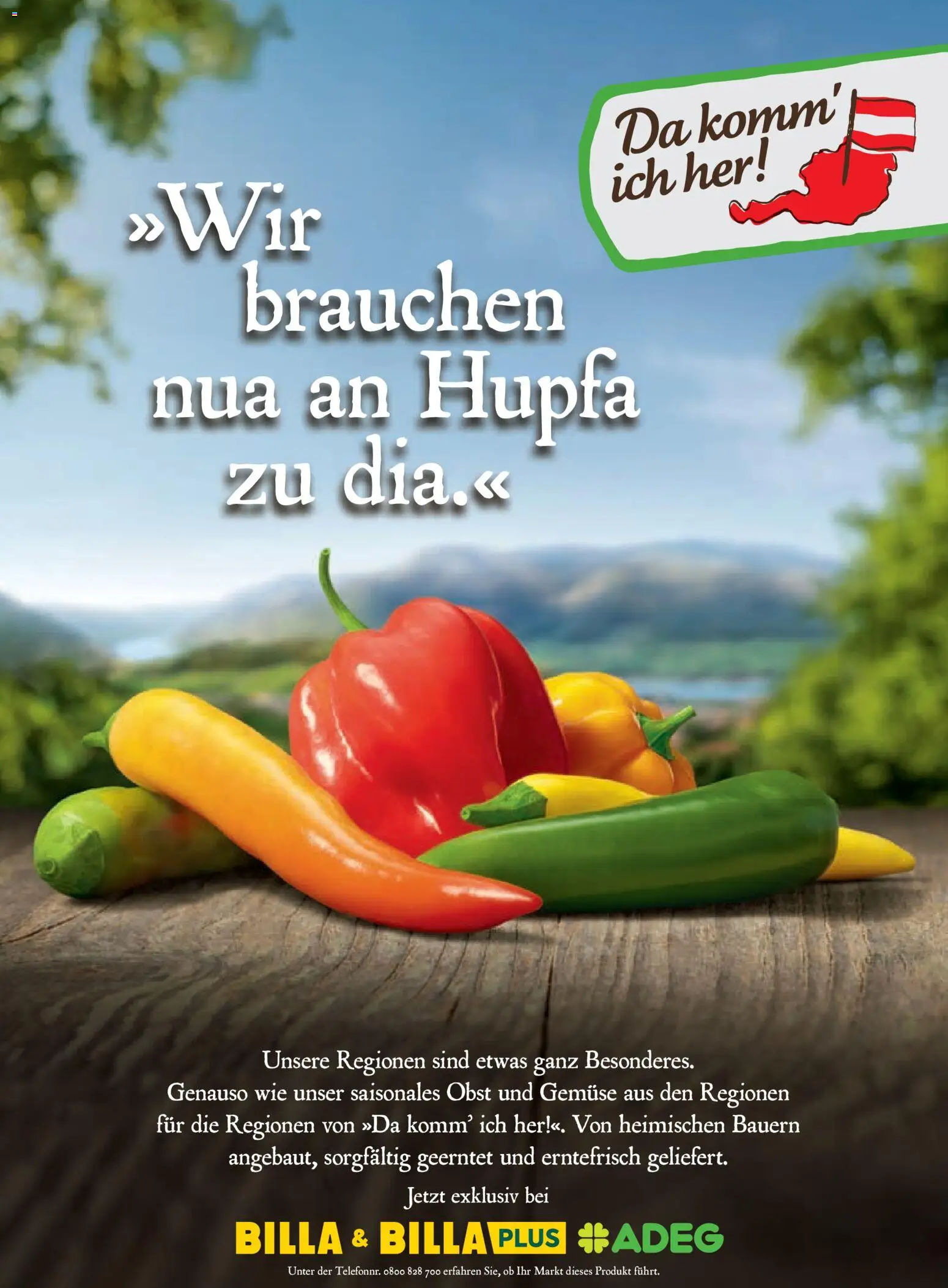 Billa AT akciós ujság - amely érvényes a következő dátumtól: 01.05.2026 | Oldal: 76