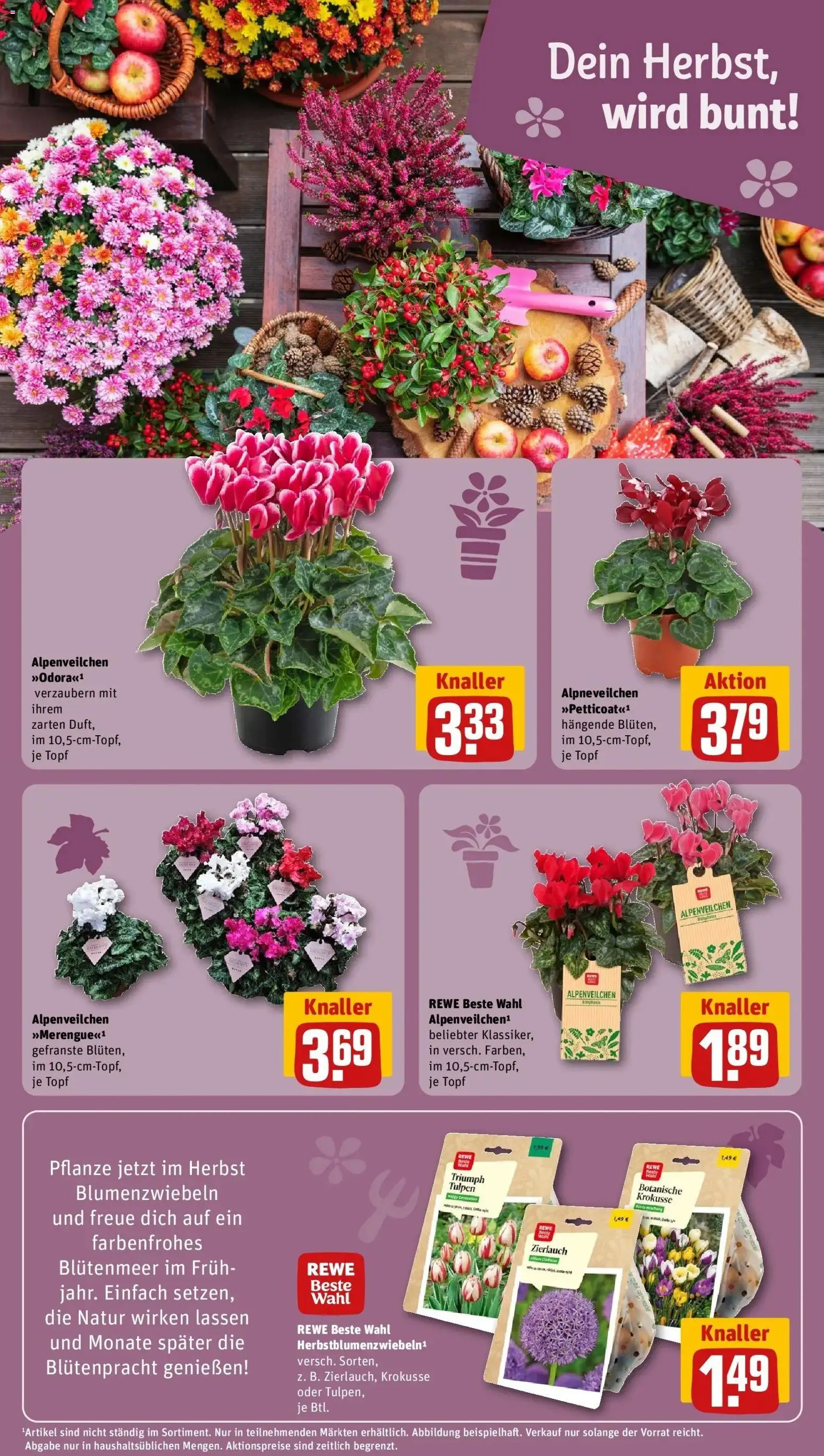 REWE Prospekt ab 28.09.2026 zum Blättern » Angebote | Seite: 15