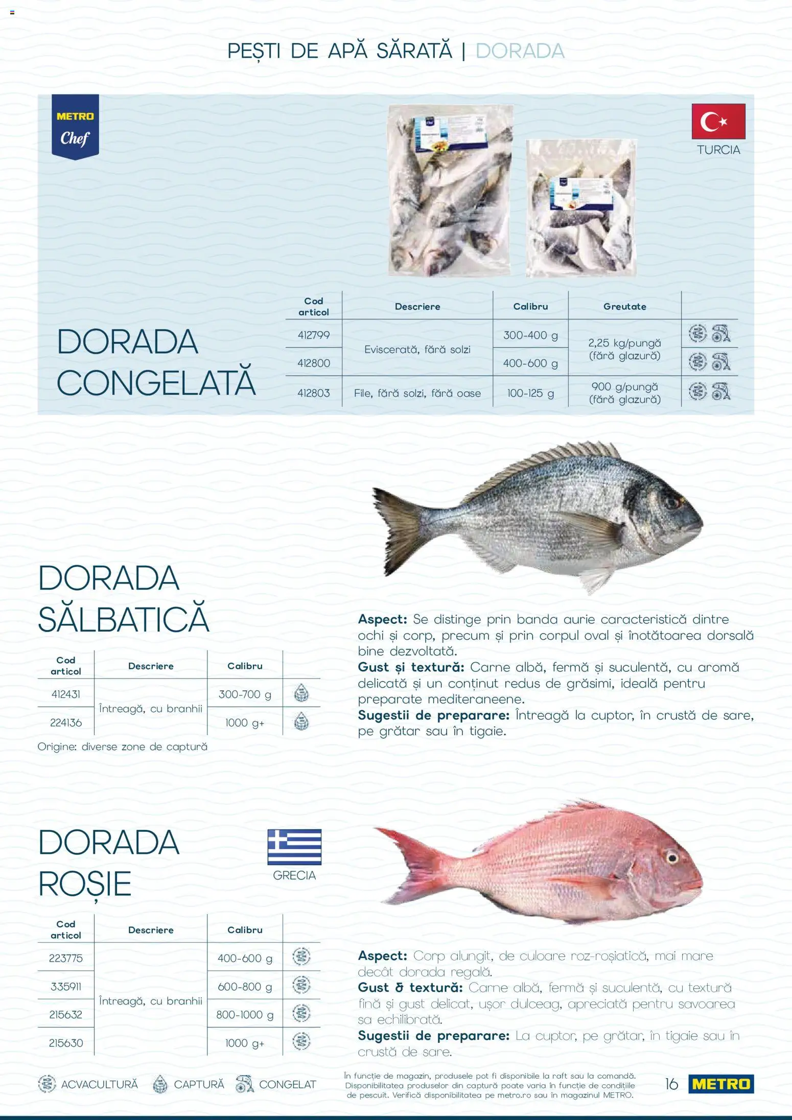 Noul catalog Metro – valabil de la 01.10.2026 | Pagină: 16 | Produse: Ochi, Tigaie, Raft, Apă