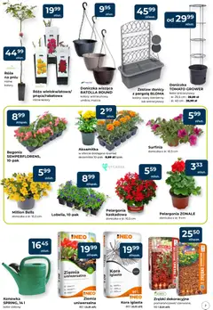 Pogląd oferty "Mrówka gazetka - Elbląg" - ważna od 23.04.2026 | Strona: 7 | Produkty: Róża na pniu, Ziemia, Doniczka, Sól