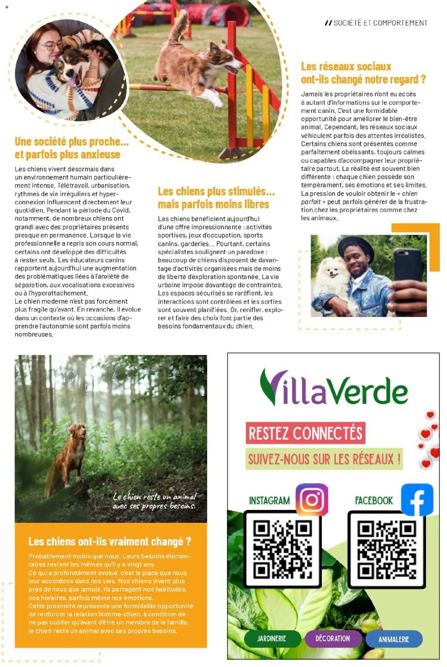 {H1} | Page: 41 | Produits: Mais, Jeux, Décoration