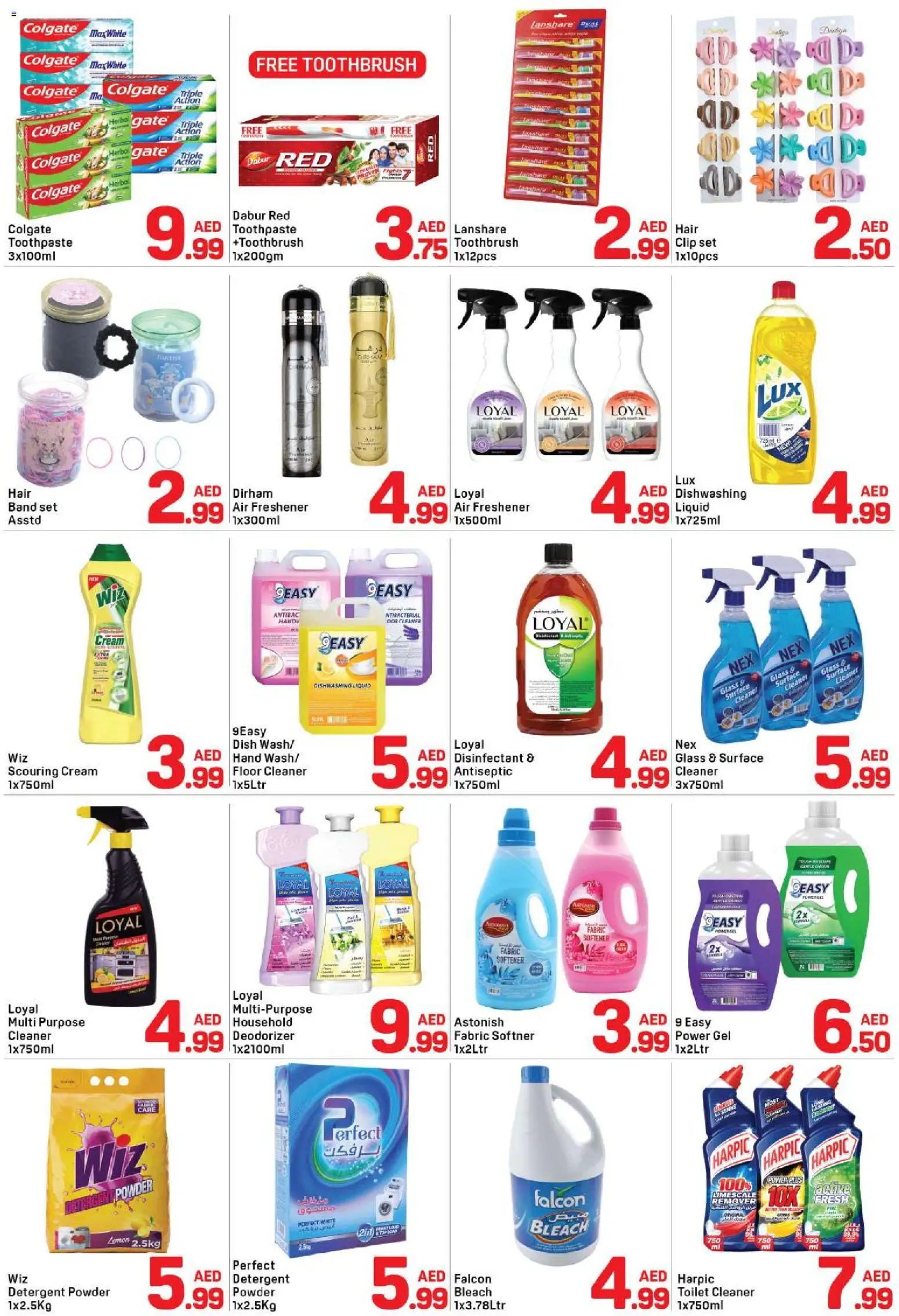 {H1} | Page: 5 | Products: Disinfectant, Toilet, Dishwashing liquid, Gate