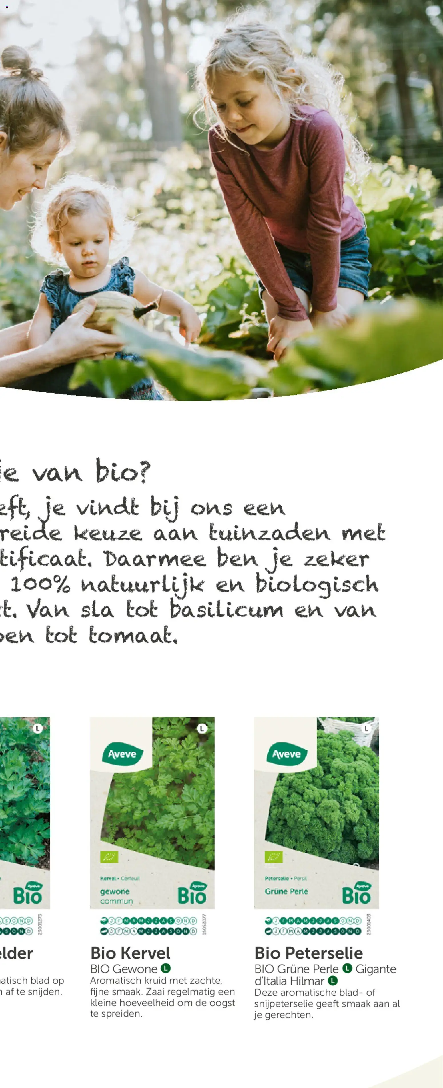 {H1} | Pagina: 39 | Producten: Kész piskótalap, Tomaat, Sla