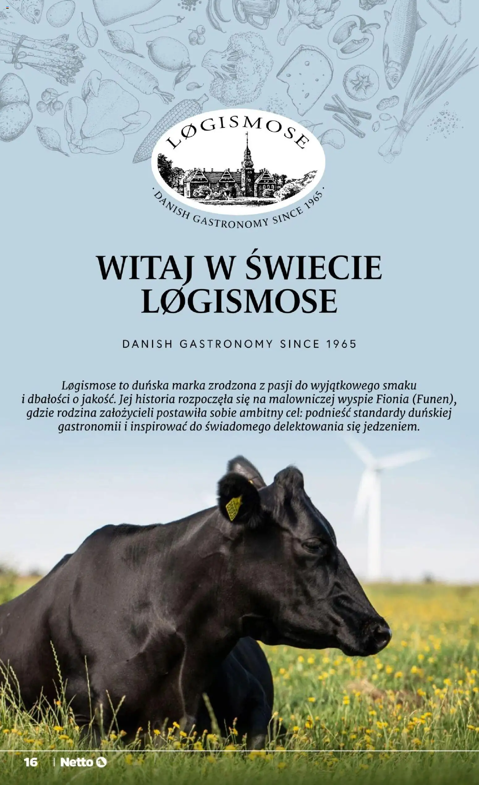 Netto gazetka od poniedziałku od 02.11.2026 | Strona: 16