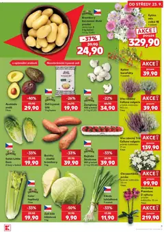 Náhled letáku Rajčata Strabena, 250 g balení od 23.09.2026 | Strana: 3