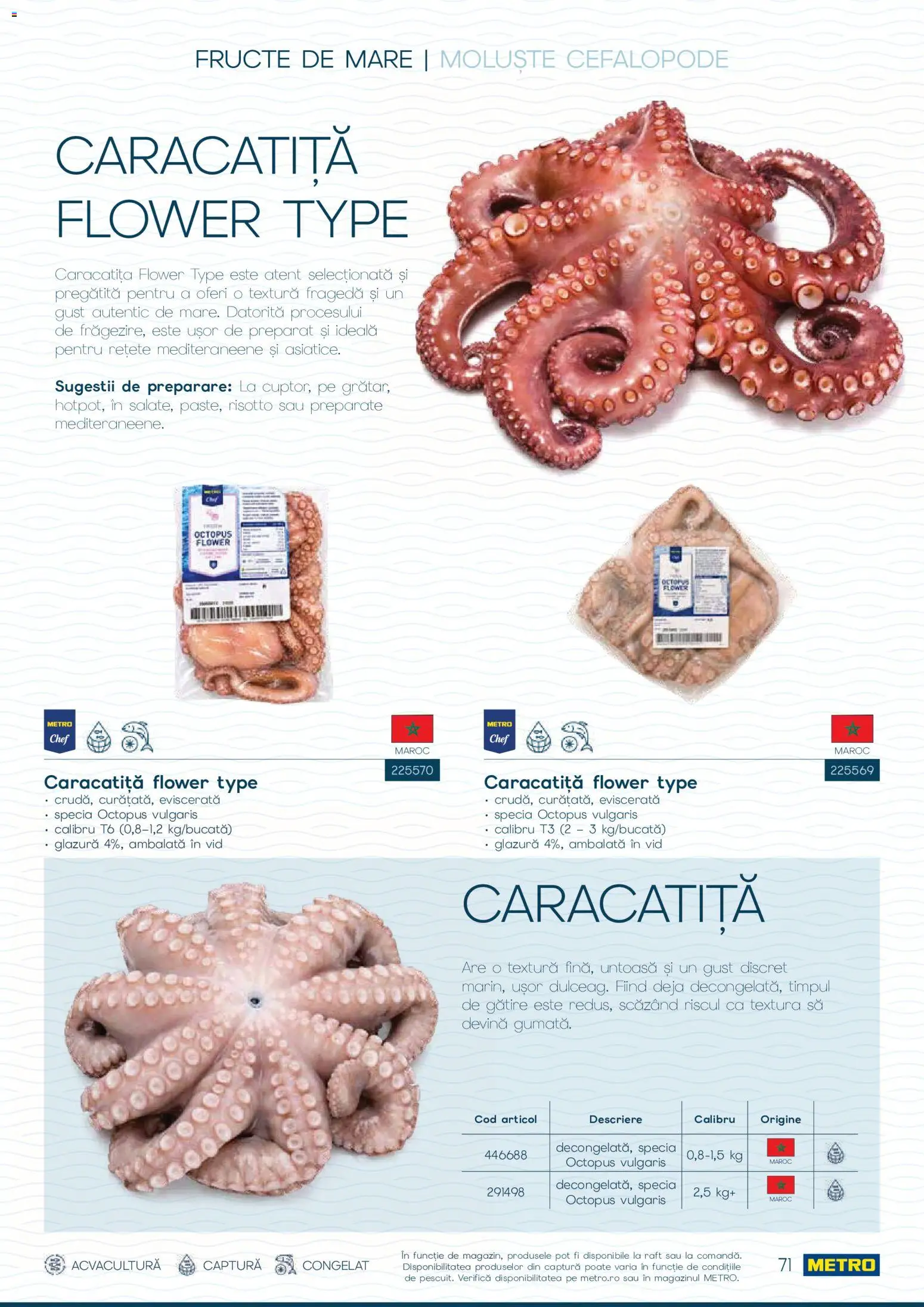 Noul catalog Metro – valabil de la 01.10.2026 | Pagină: 71 | Produse: Raft, Fructe, Fructe De Mare